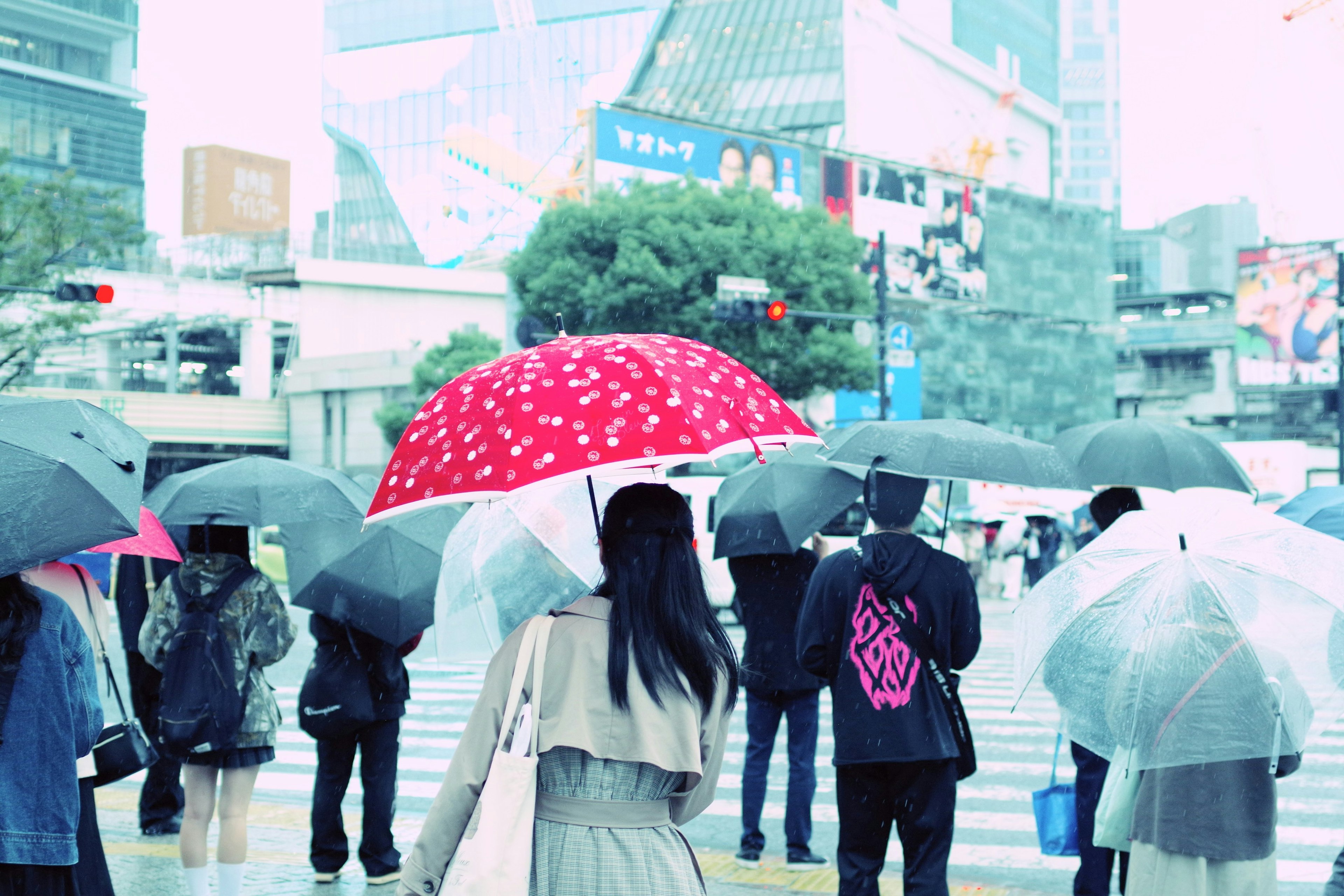 人们在雨中等候过马路，手持雨伞