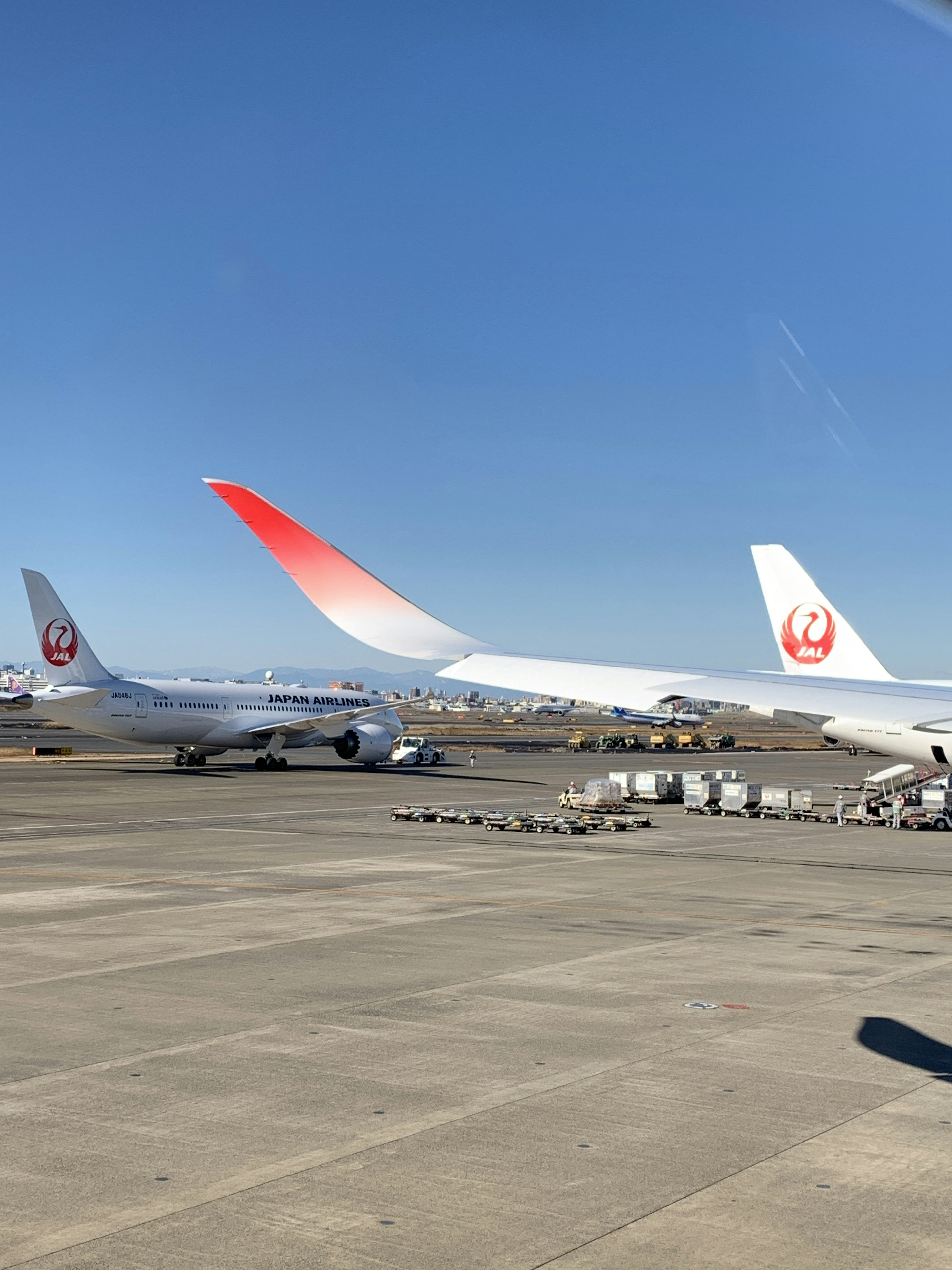 Aletas de aviones de Japan Airlines estacionados en la pista