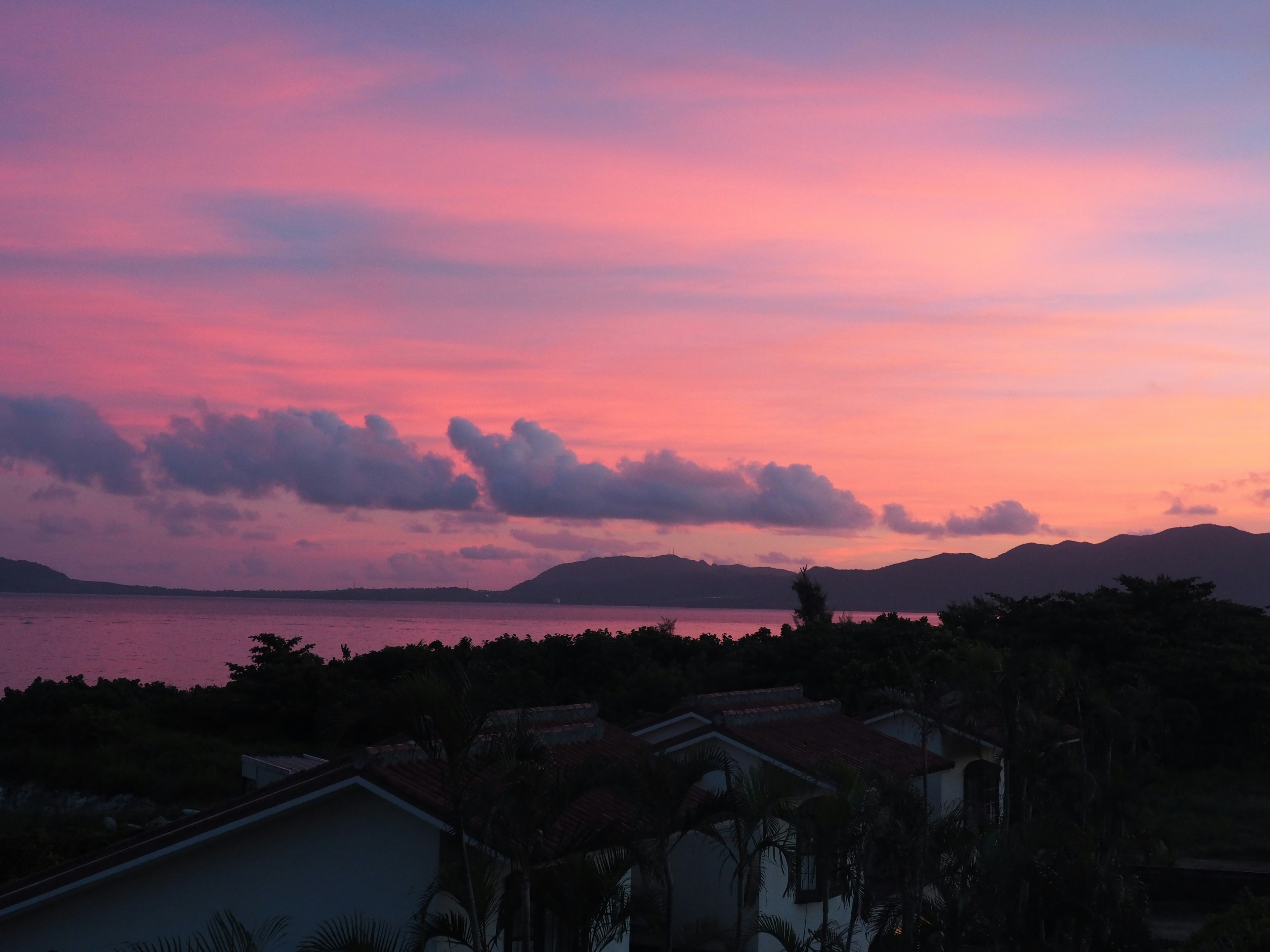 美しいピンクと紫の夕焼けが広がる海の景色