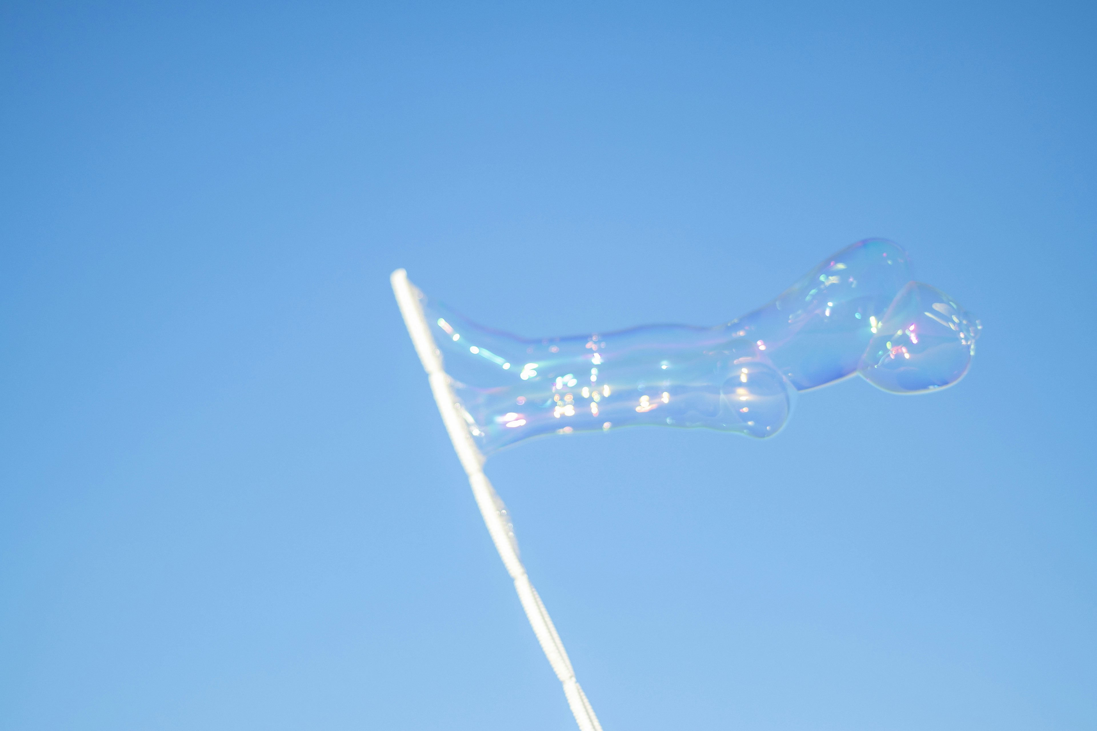 Hundeblase gegen blauen Himmel