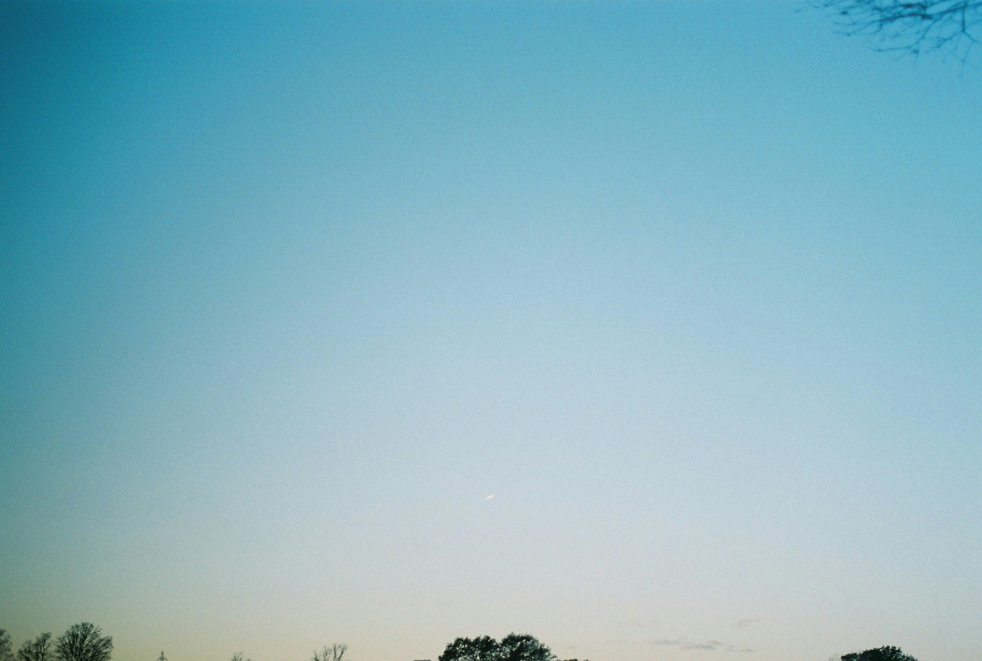 青い空と木々が見える風景