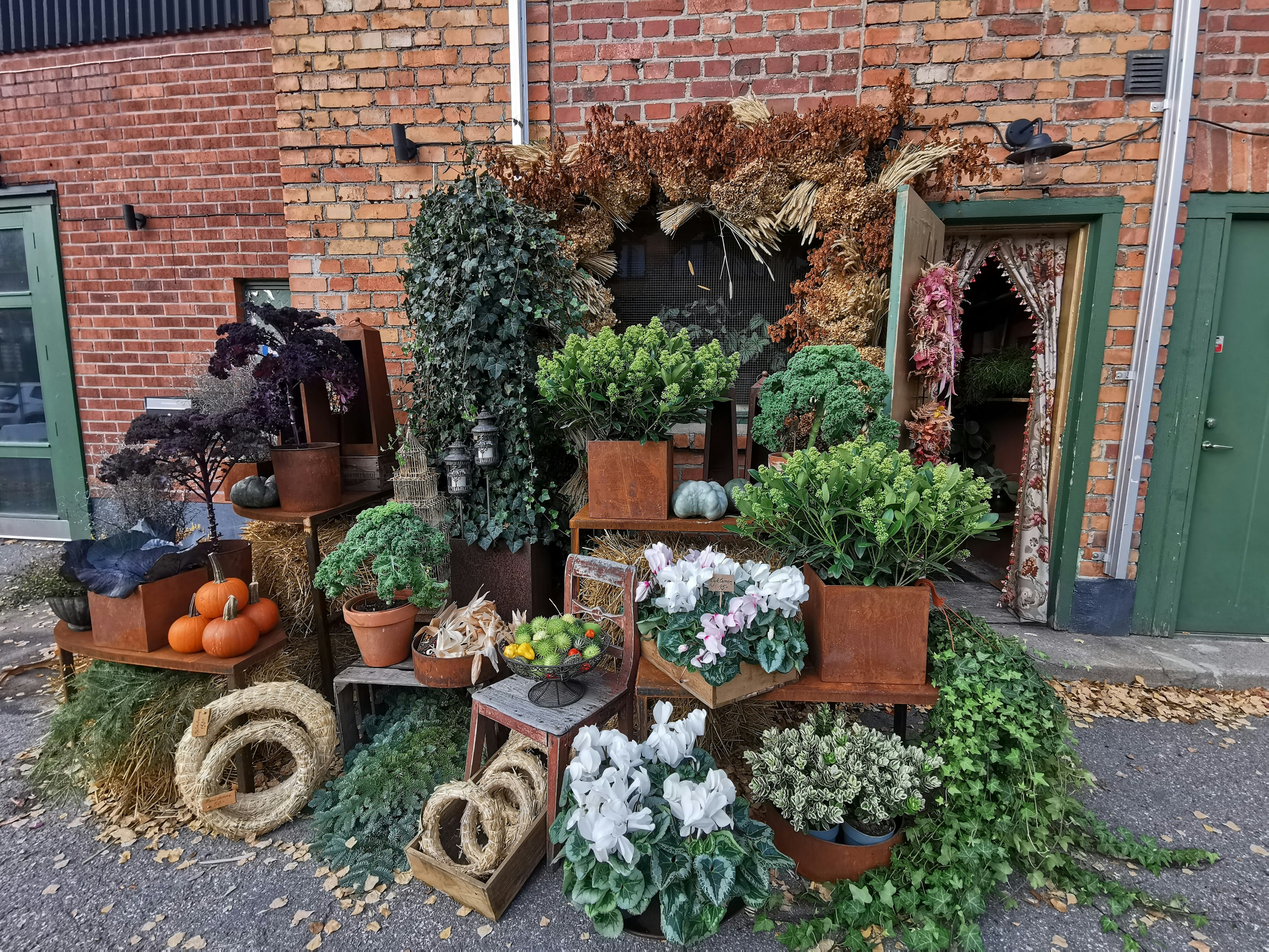 Charming outdoor display of greenery and flowers arranged in pots