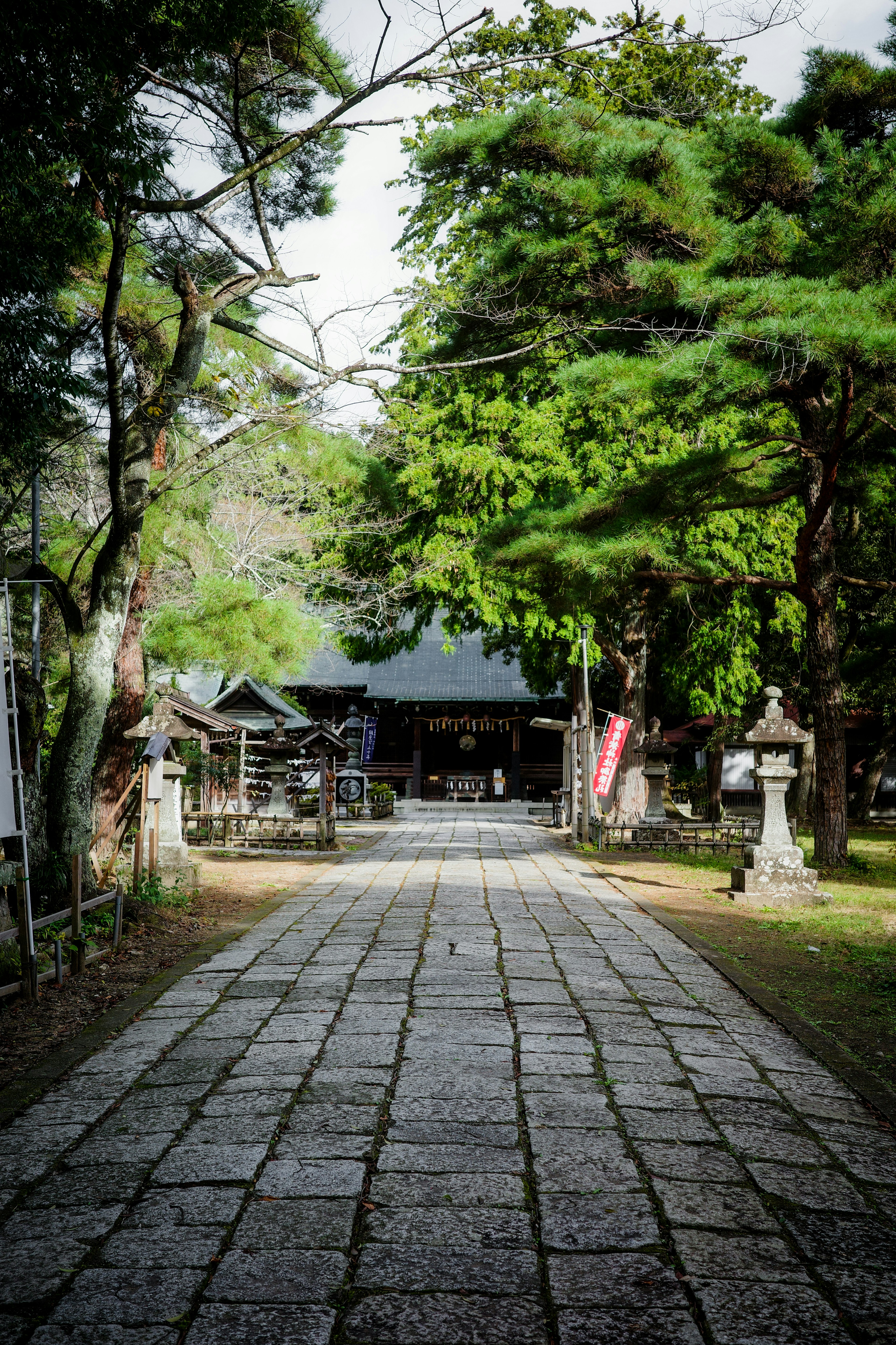 Stone path leading through lush greenery to a shrine