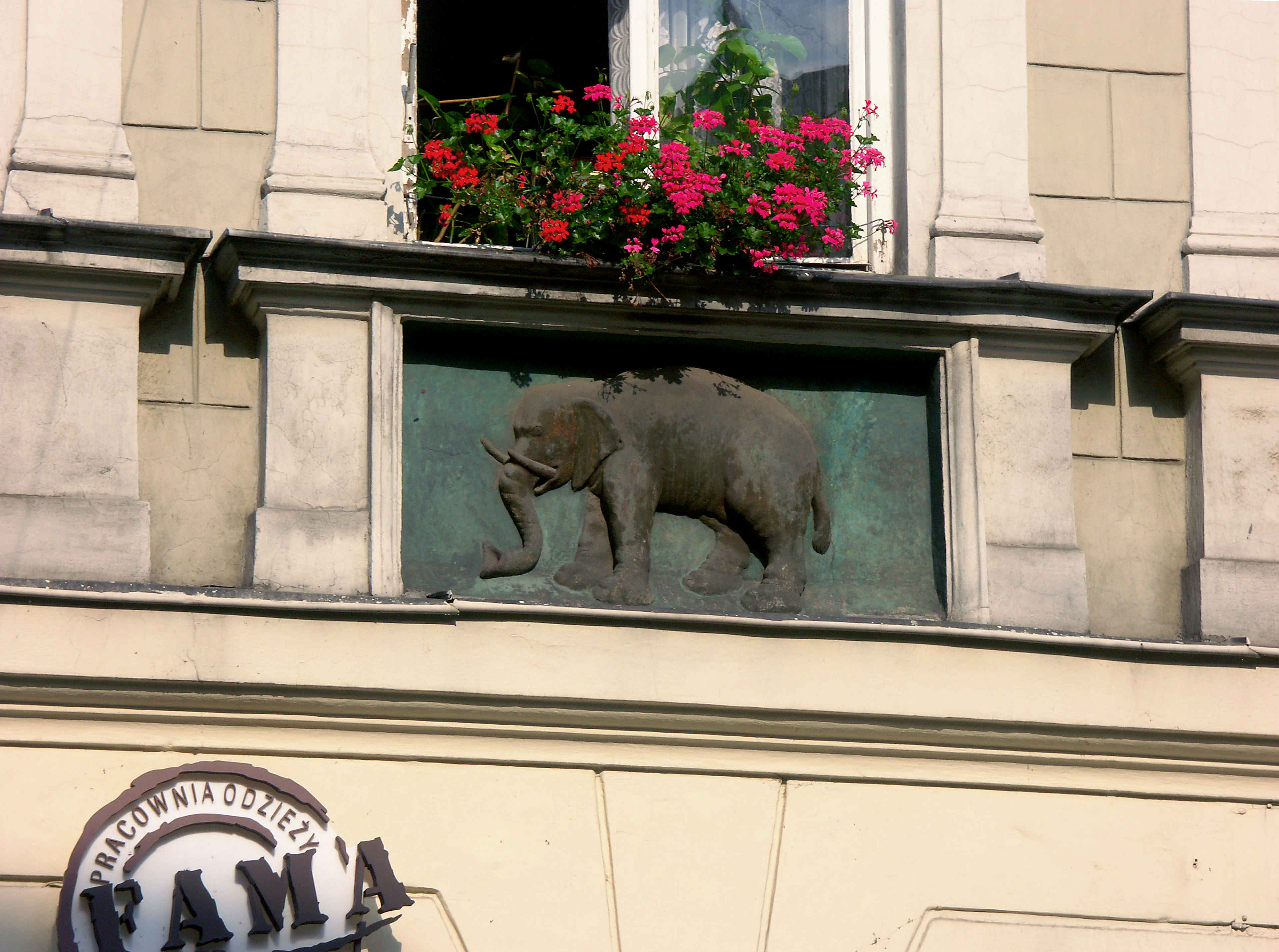 Bronze sculpture of a pig on a building facade with flowering plants in a window