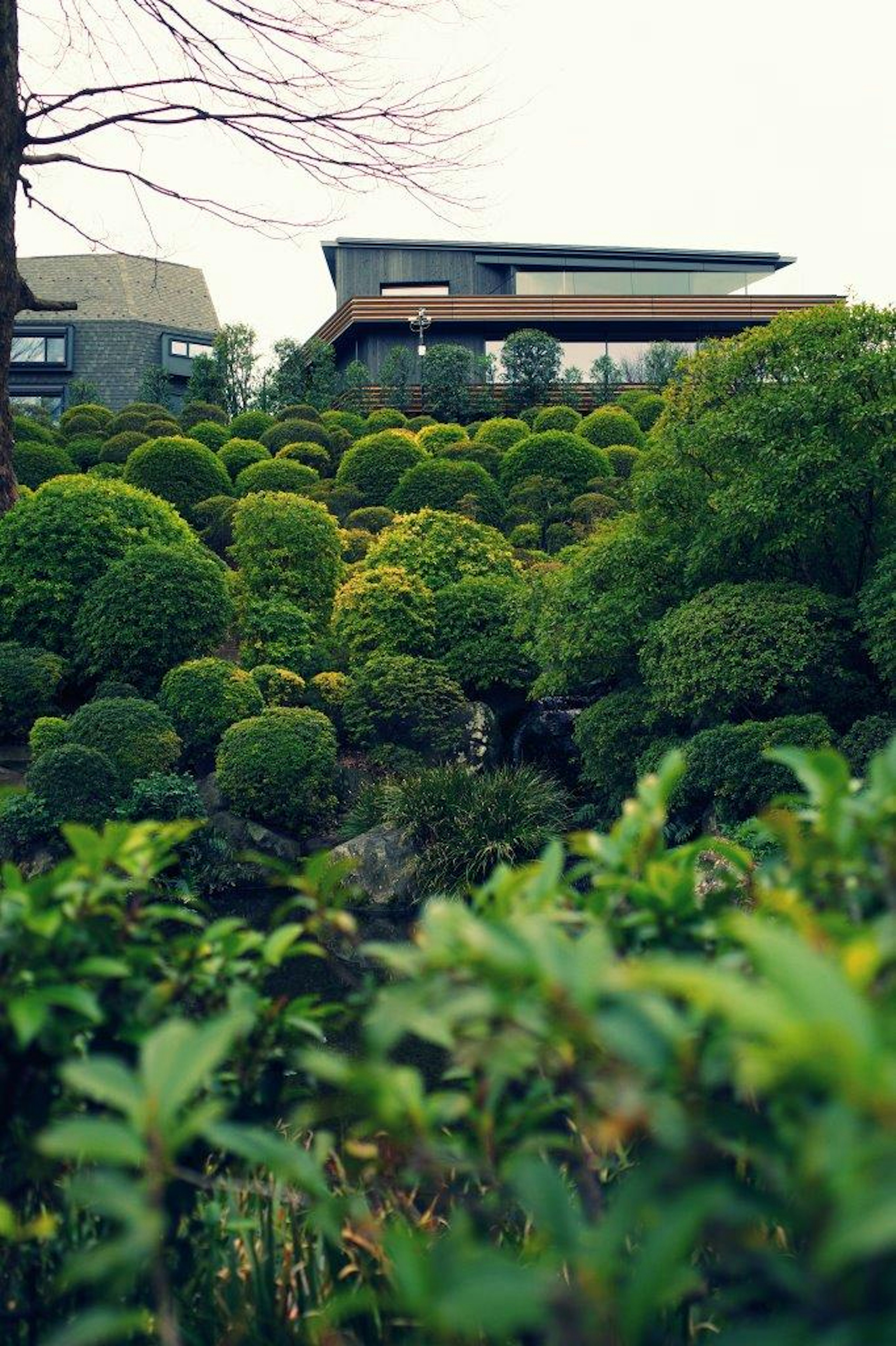 緑豊かな庭園と現代的な建物の景色