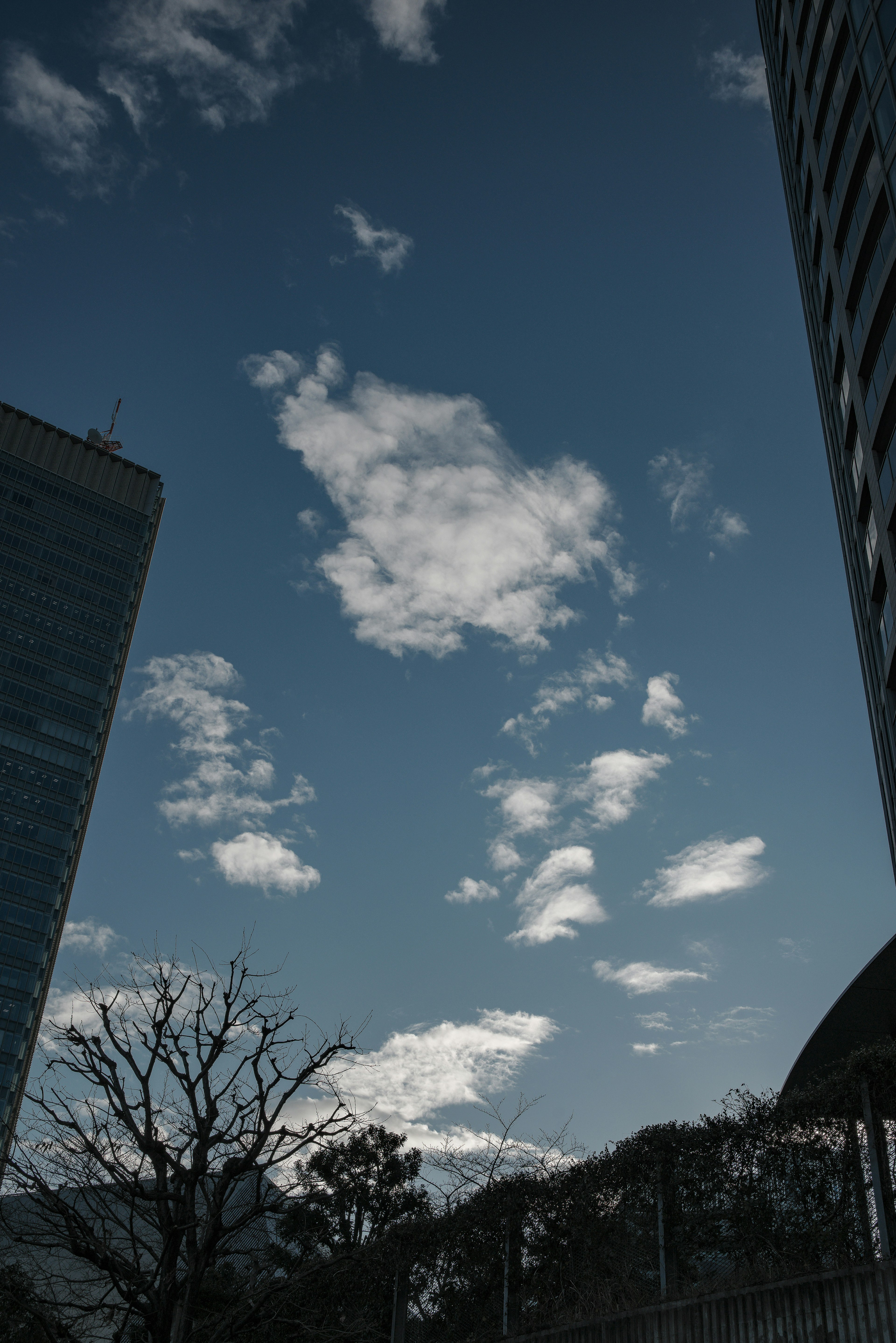 高層ビルの間に広がる青空と雲の風景