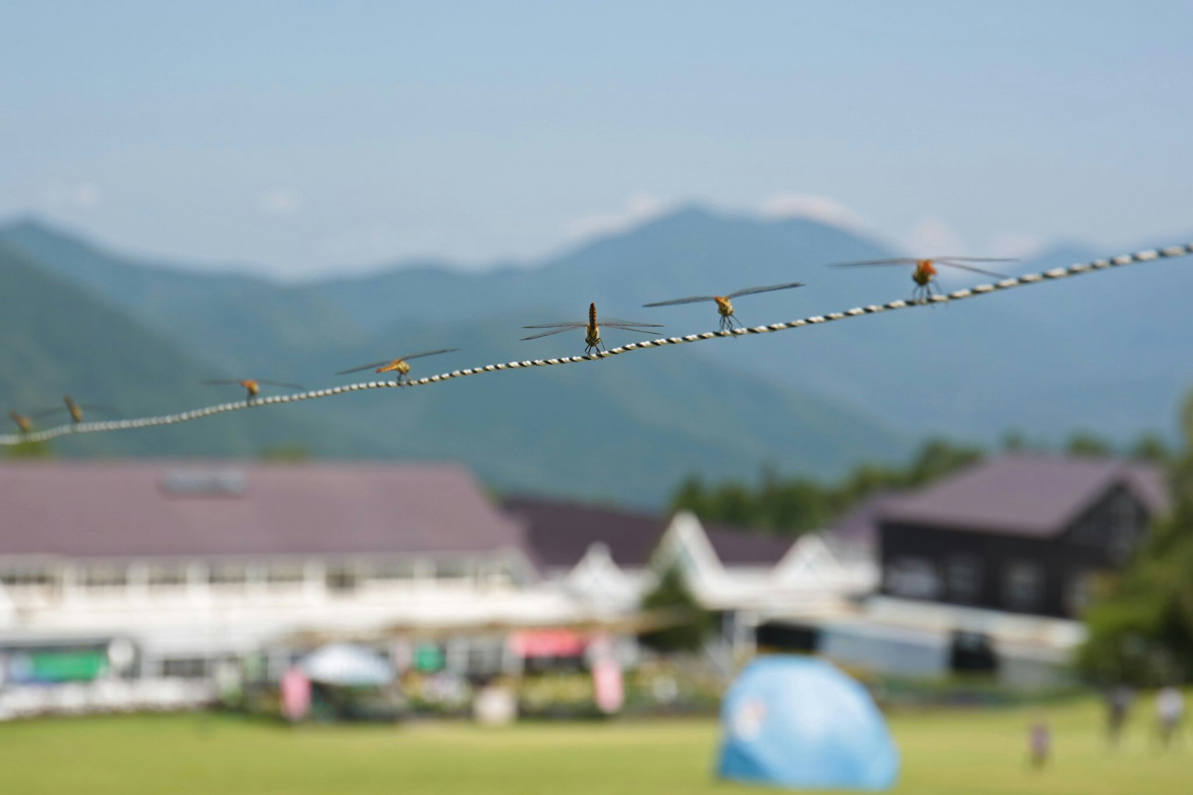 Scenic view with mountains in the background and laundry hanging