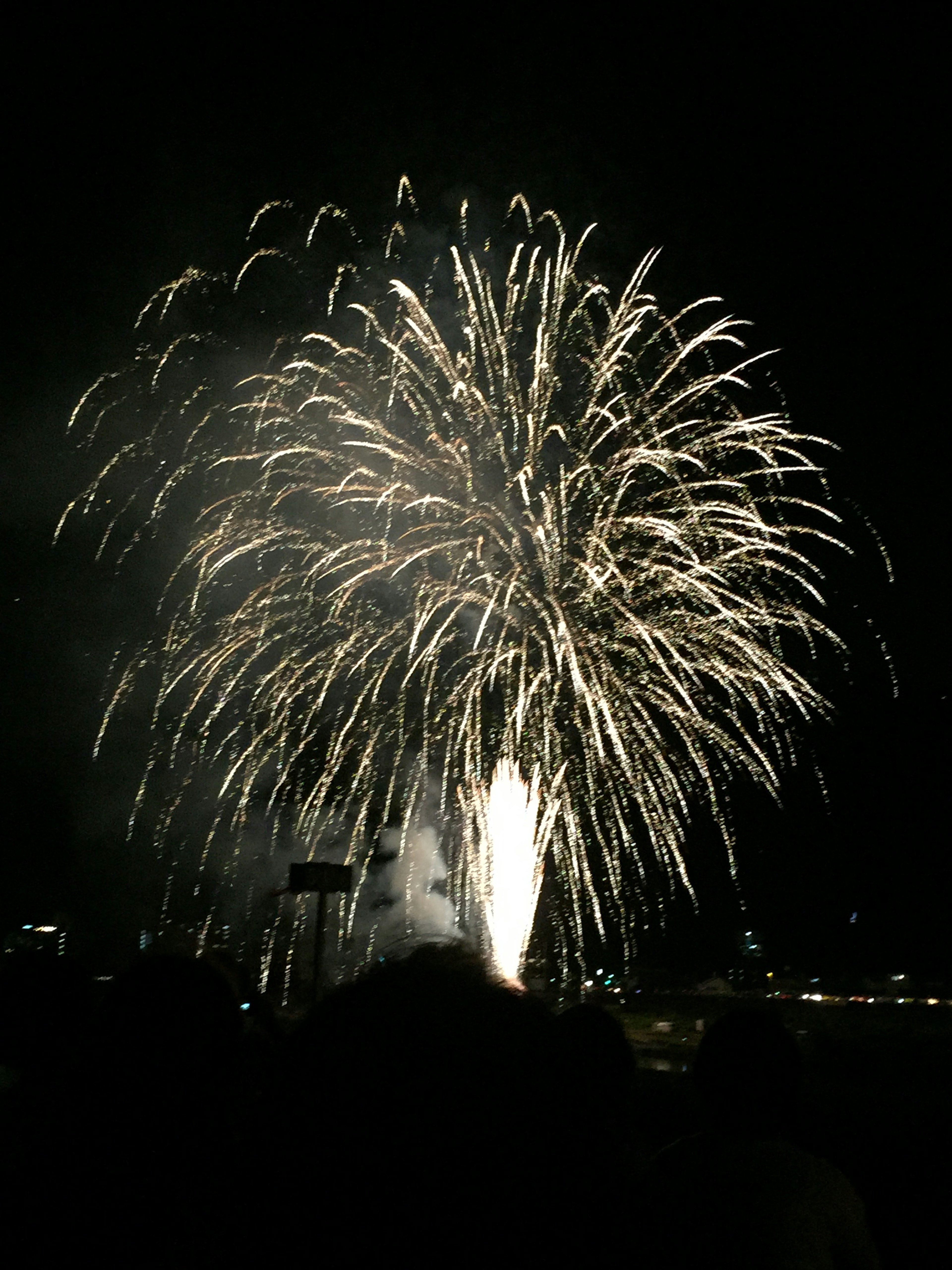 A large white firework bursting in the night sky