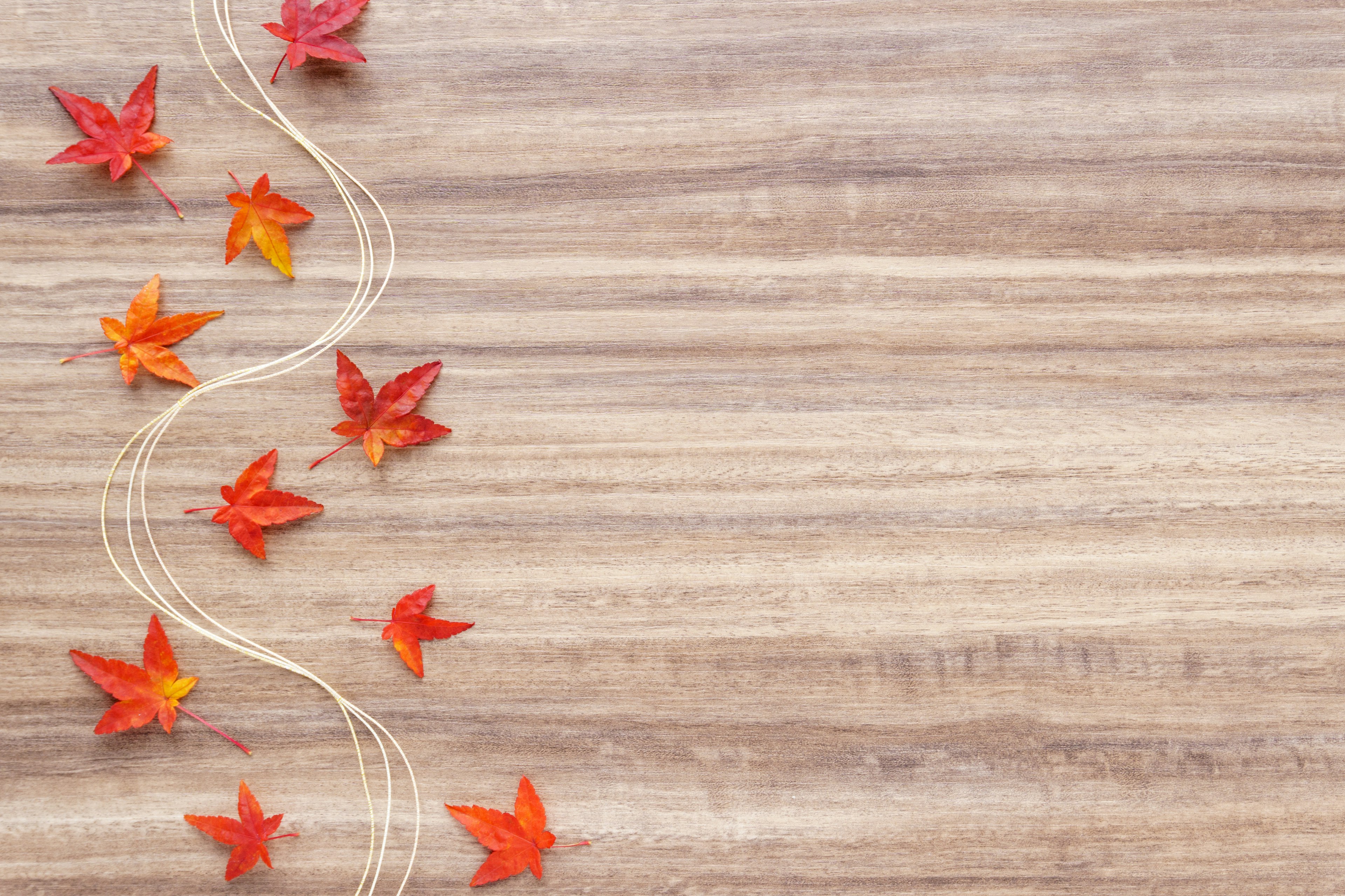 Red leaves scattered on a wooden table with a string