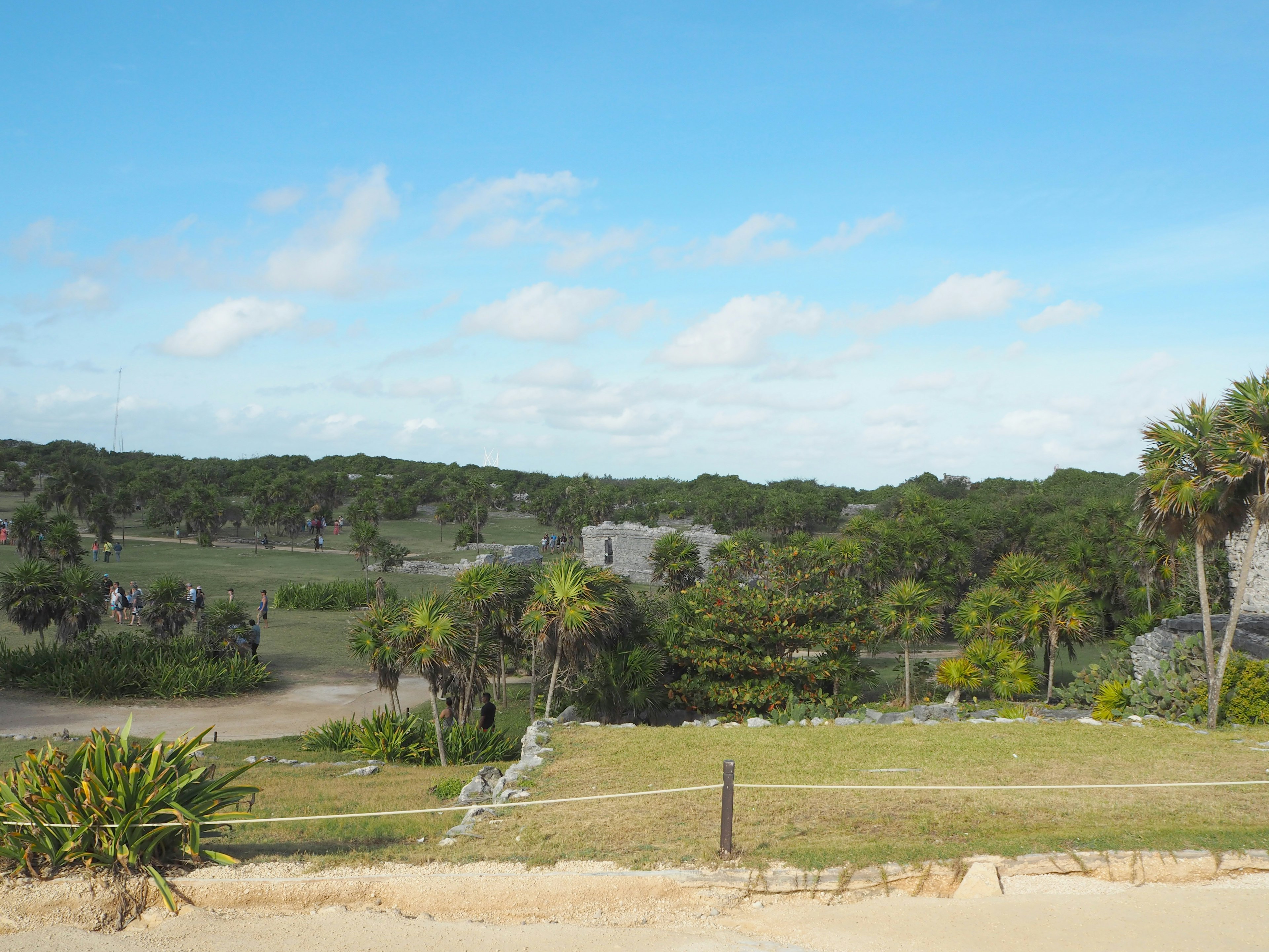 Blick auf antike Ruinen und üppiges Grün unter blauem Himmel