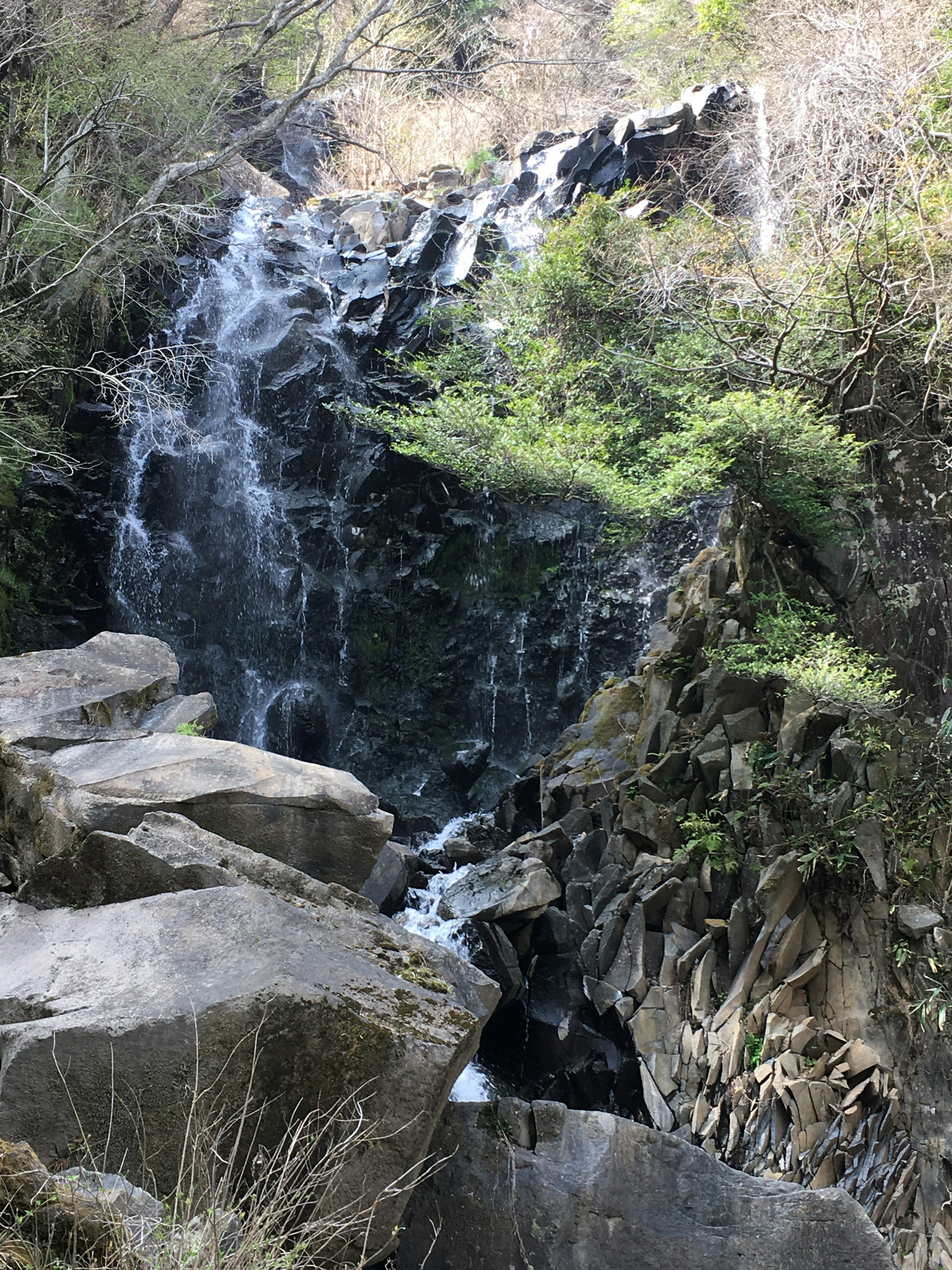 Una piccola cascata che scorre tra le rocce in un ambiente naturale