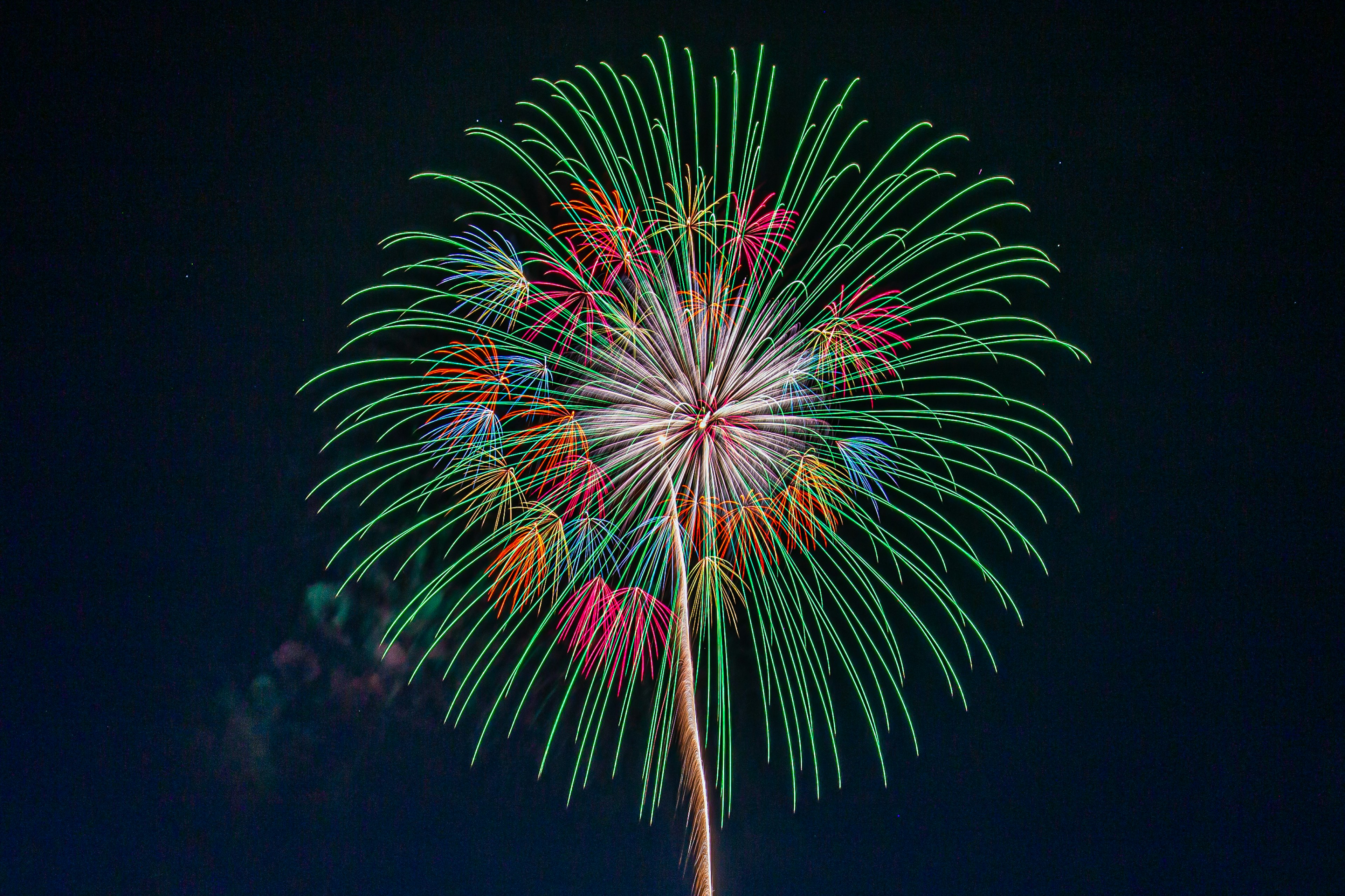 鮮やかな花火が夜空を彩る様子