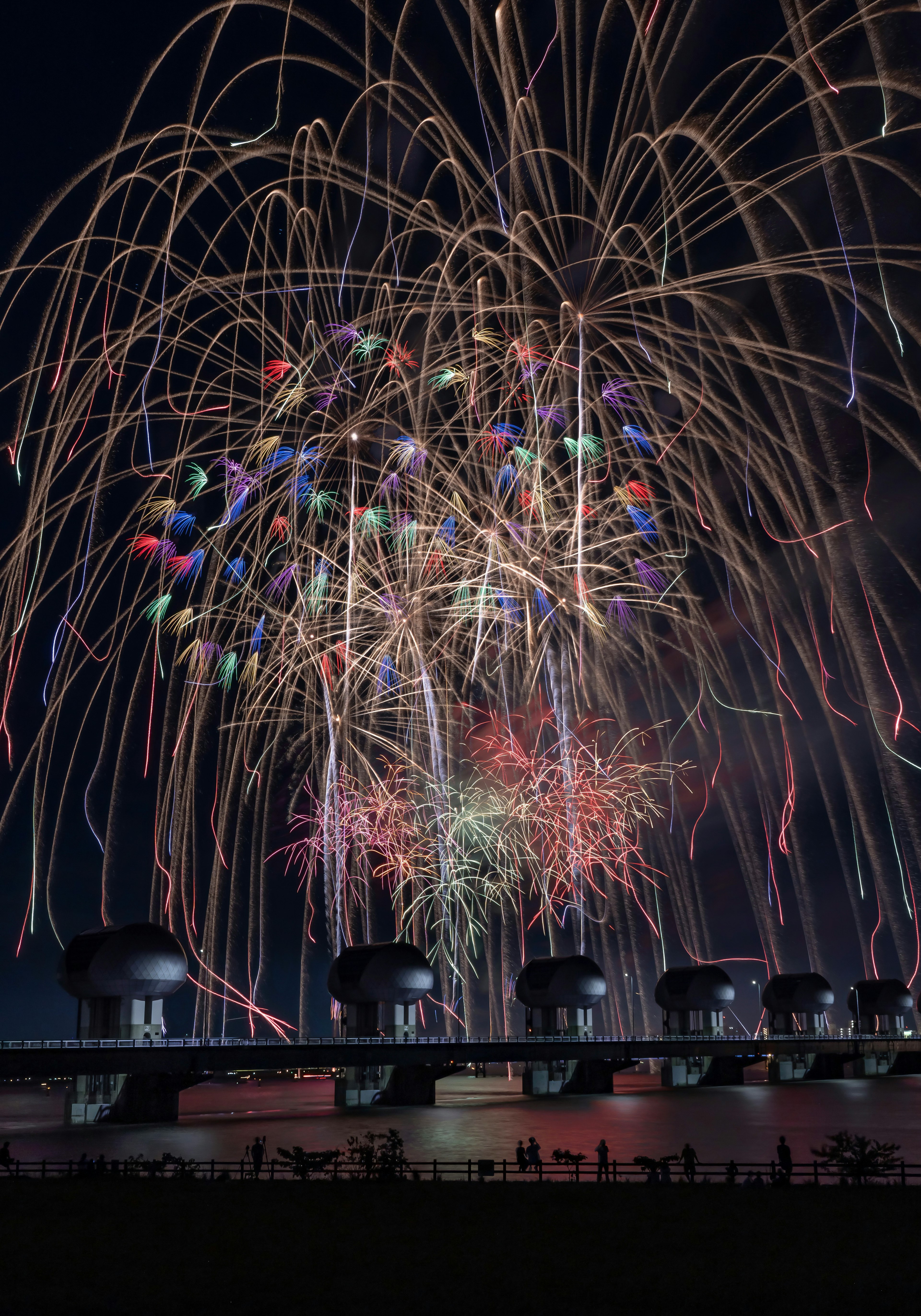 夜空に広がる色とりどりの花火が印象的な風景