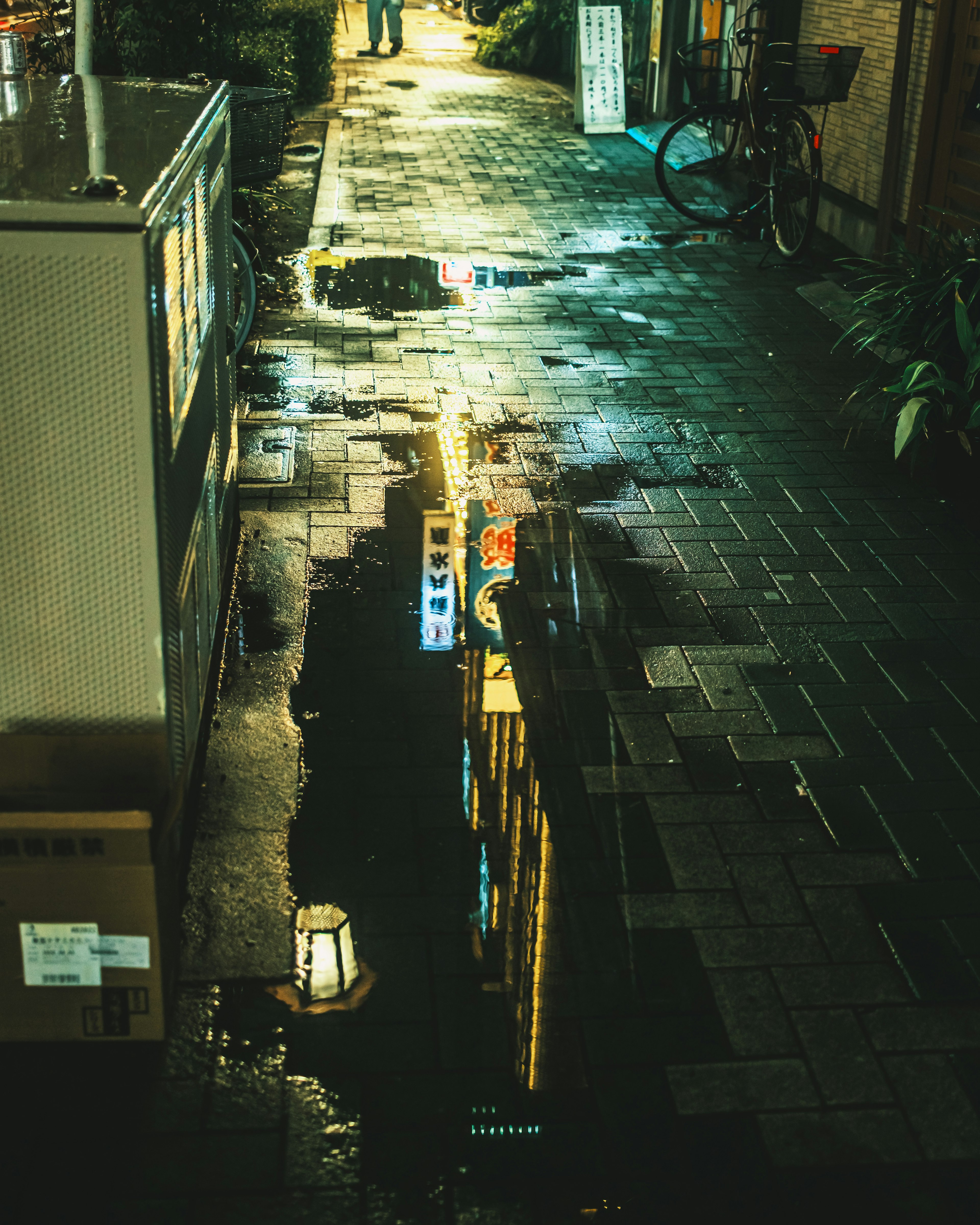 雨に濡れた路地の反射と街灯の光