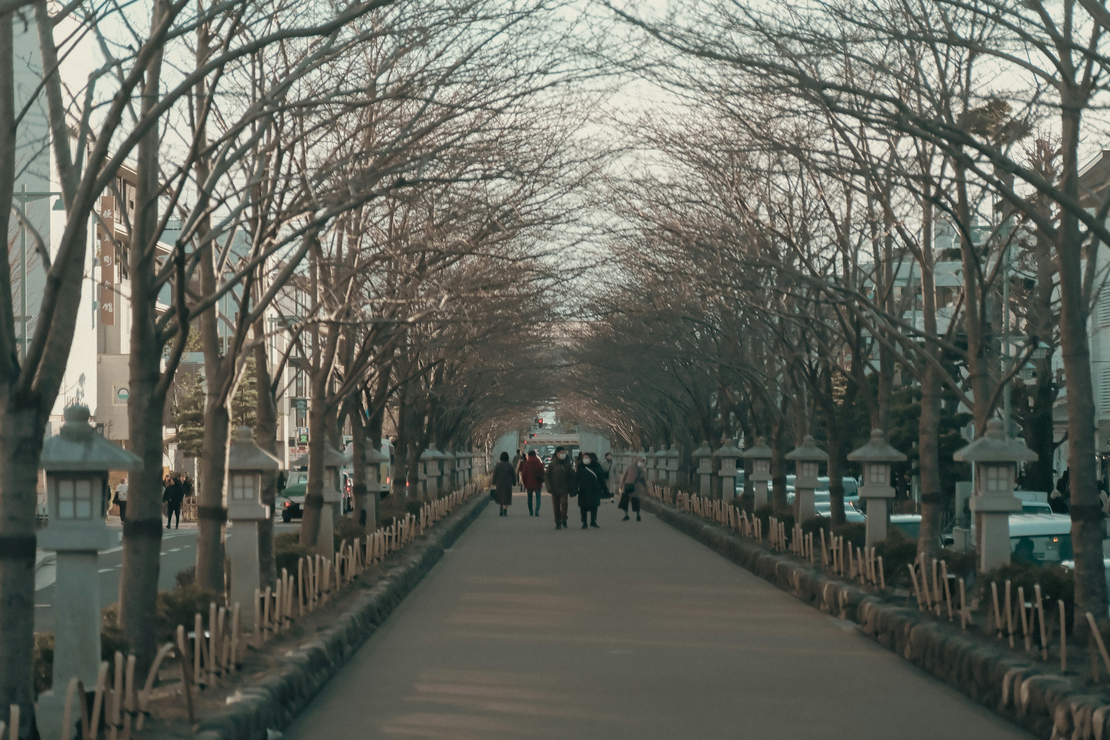 People walking along a quiet walkway lined with bare trees