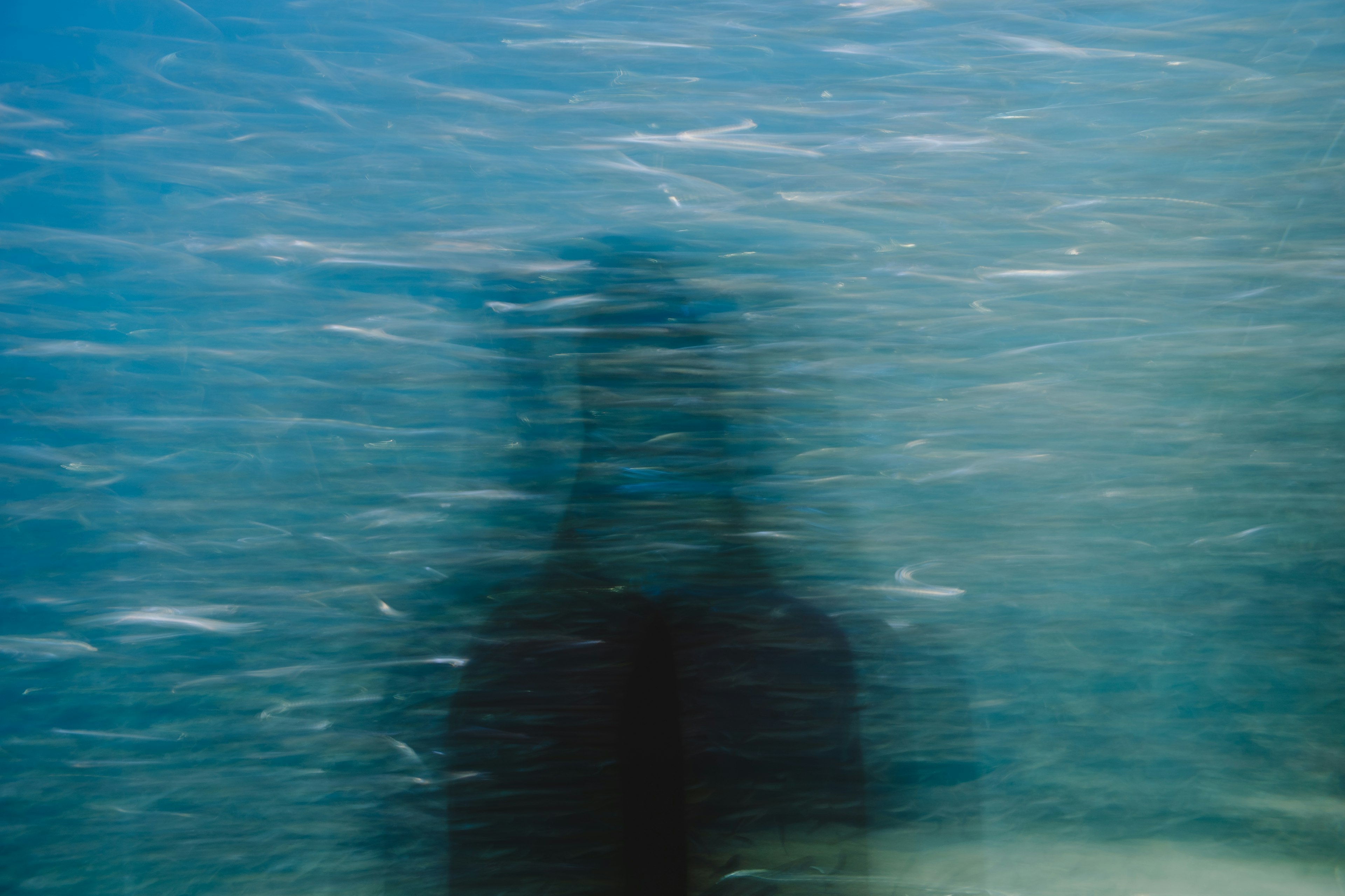 photo-qKgtslrhM4clN27RHfZe-image