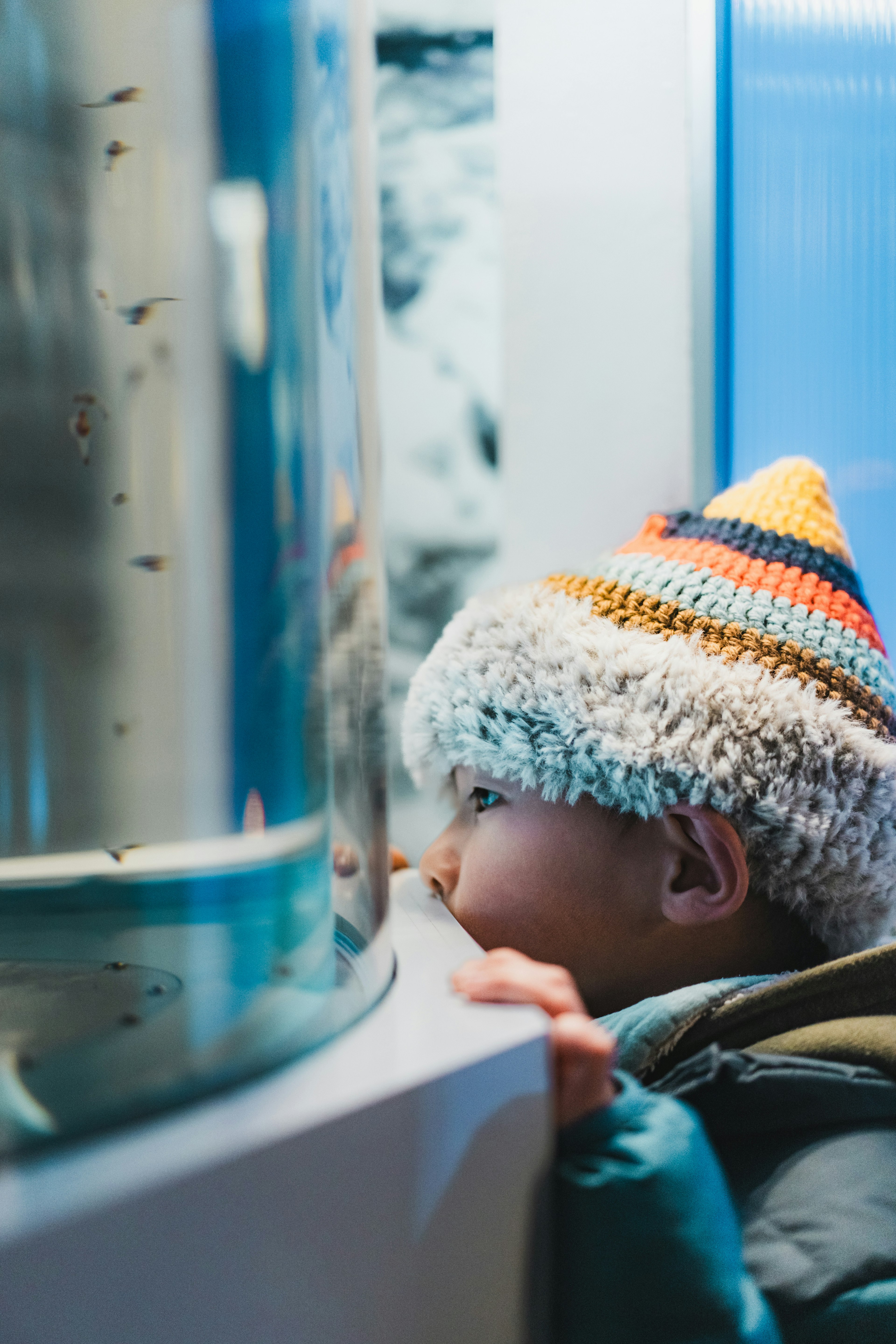 Child peering into an aquarium wearing a colorful knitted hat