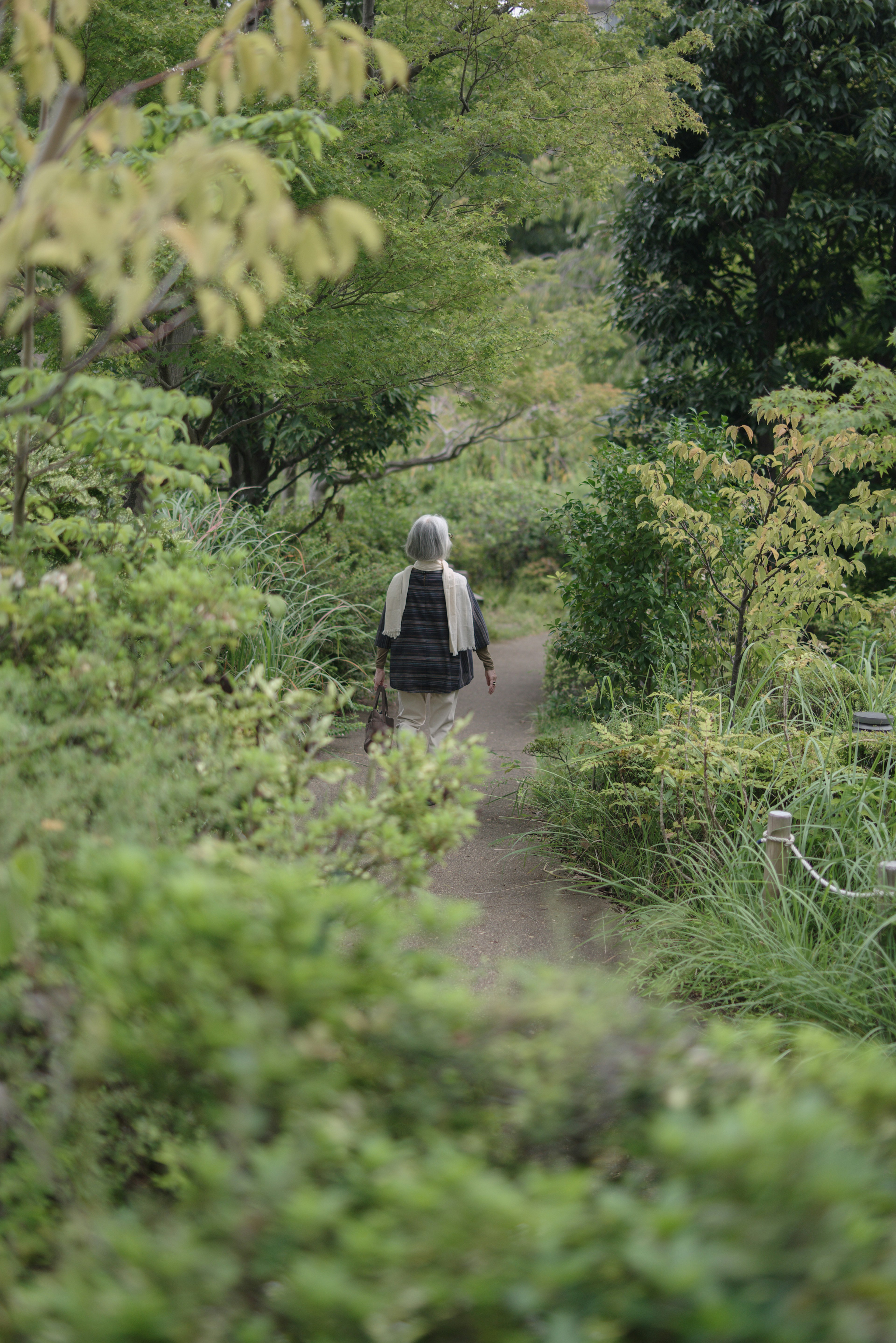 A person walking on a path surrounded by green trees