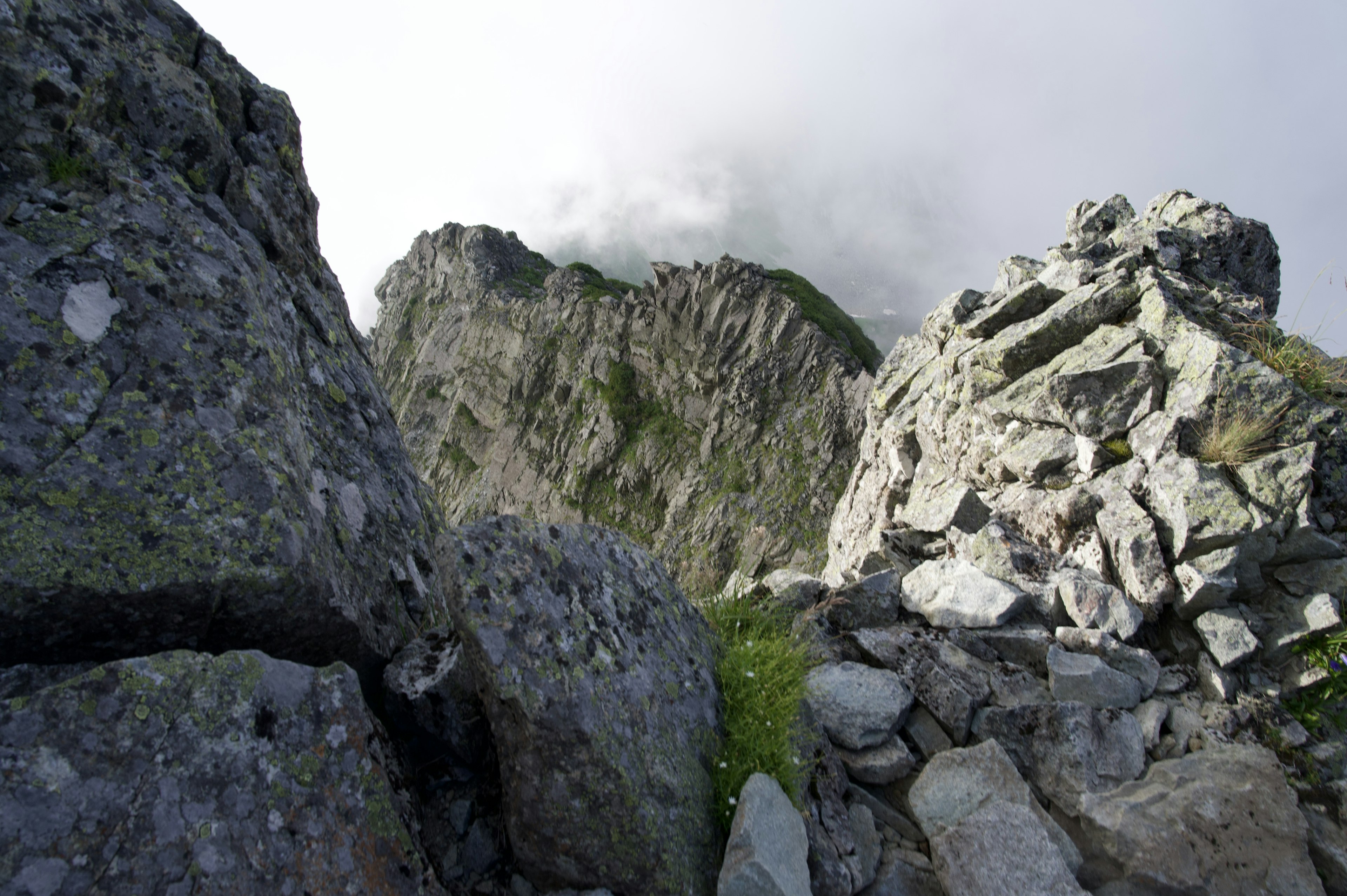 Paesaggio montano con terreno roccioso e erba verde