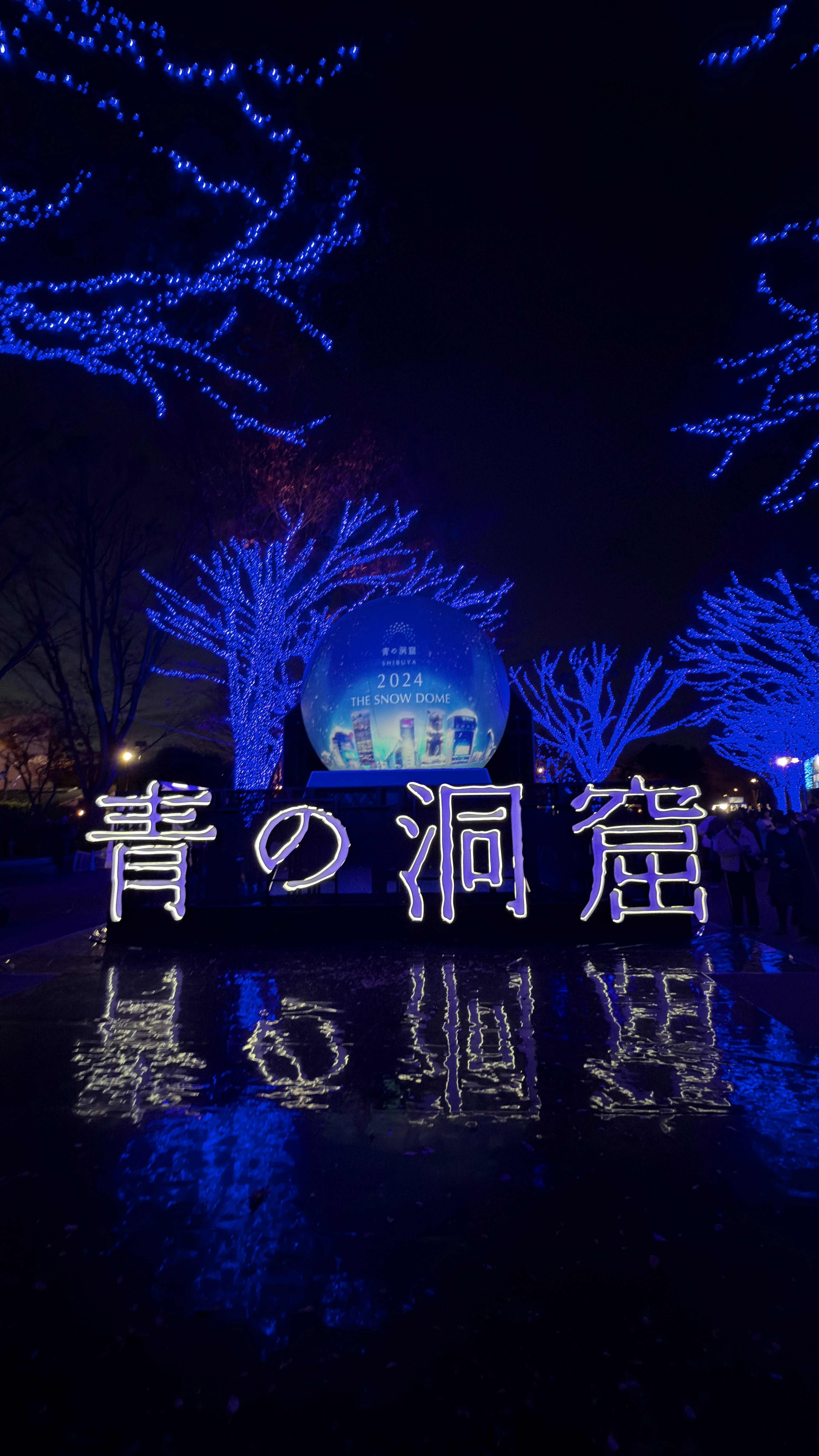 青の洞窟の光る木々と青い装飾が施された夜景