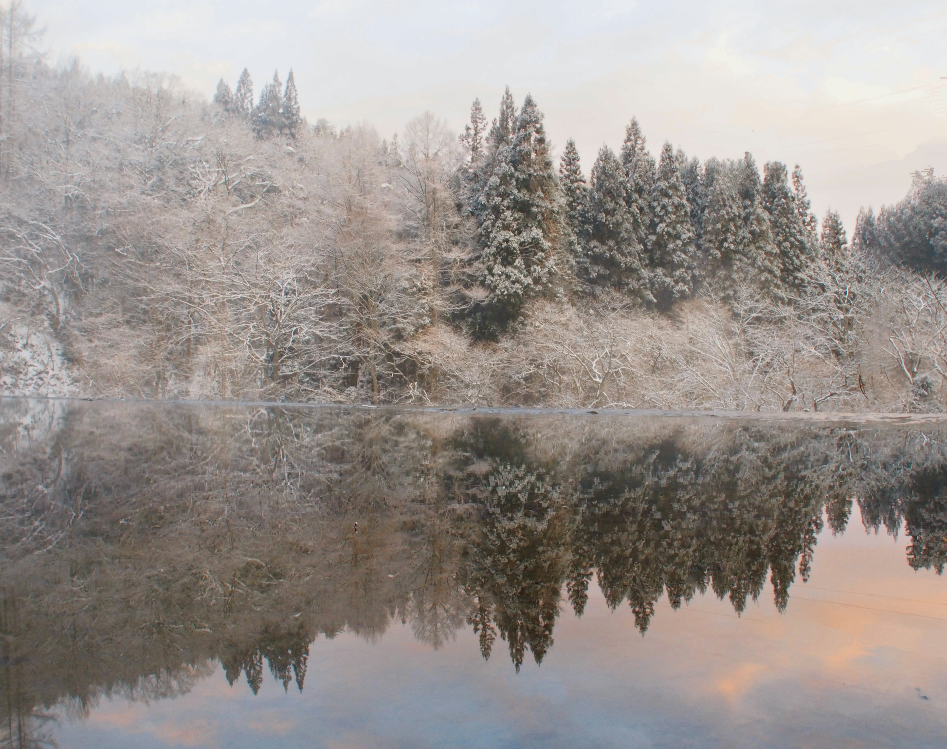 雪に覆われた木々と静かな湖の美しい風景