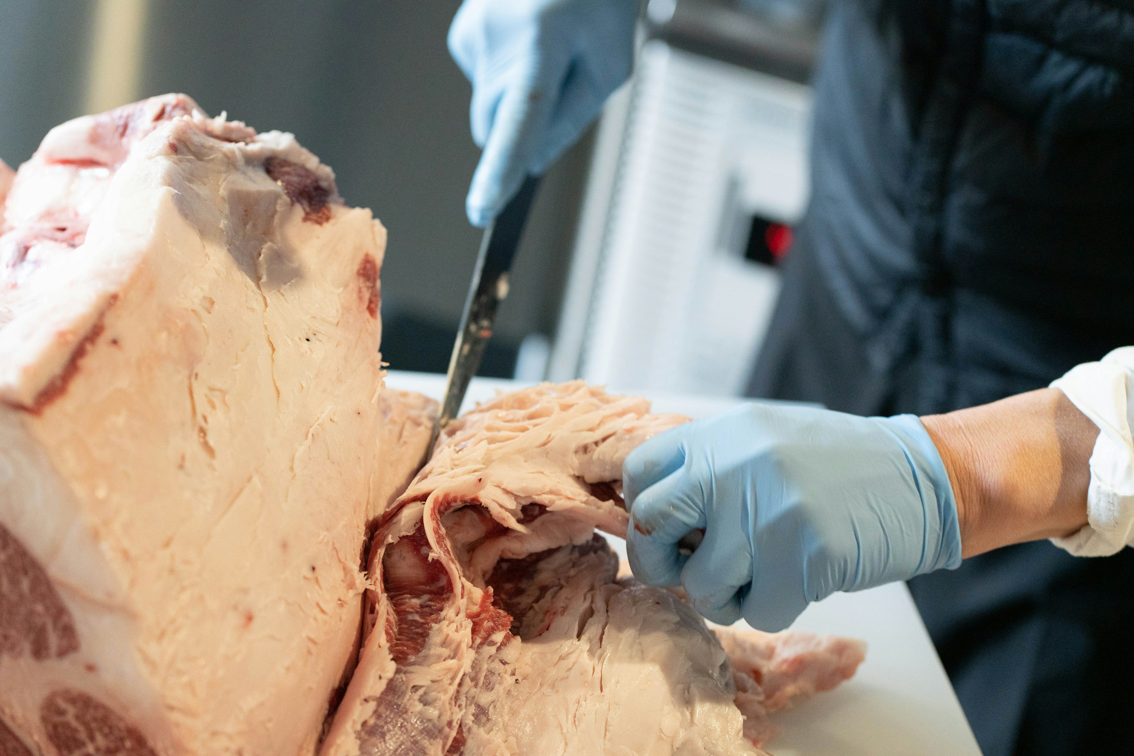 Gros plan sur des mains coupant de la viande avec des gants bleus