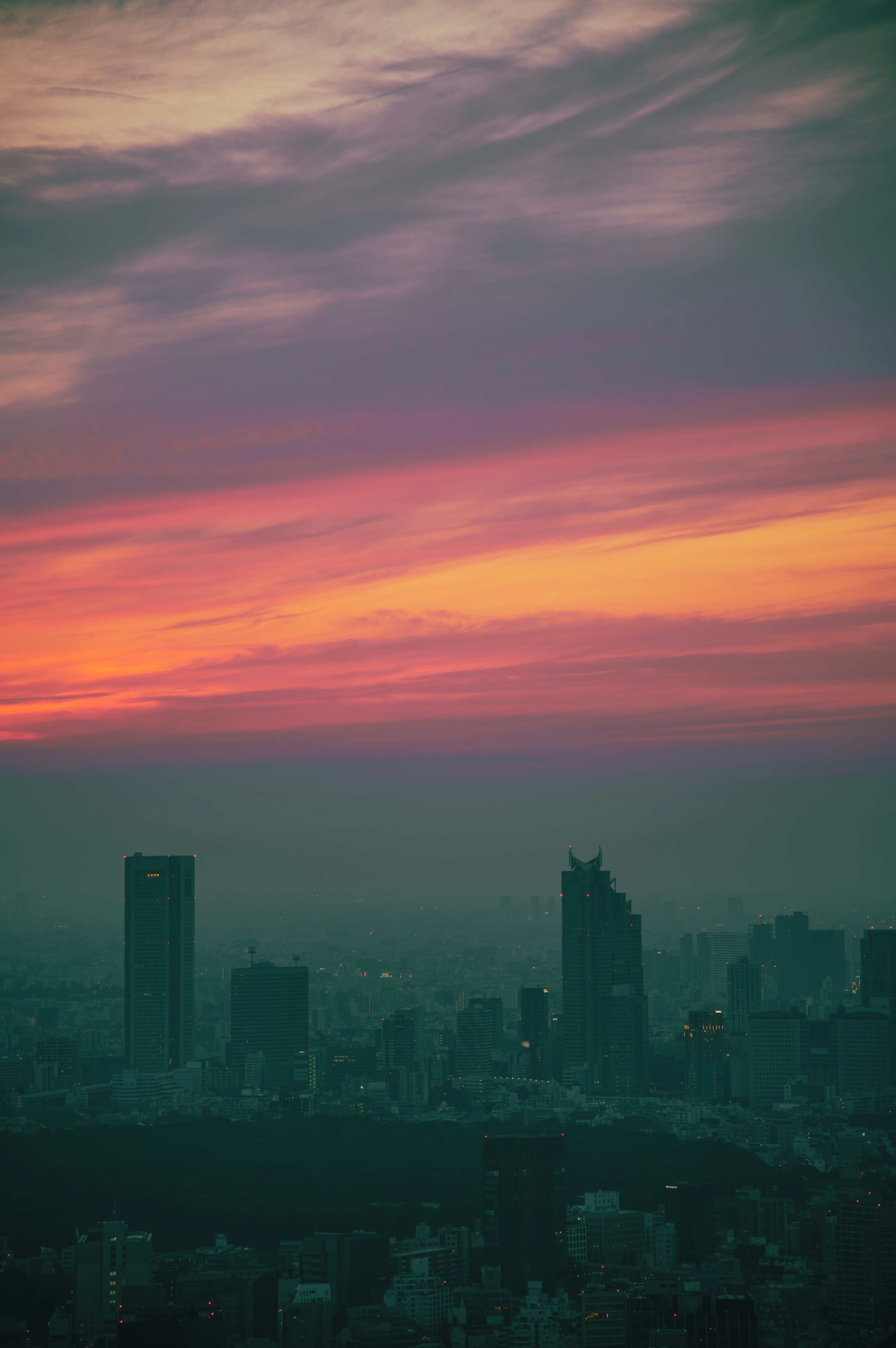 日落時的城市景觀 多彩的雲和摩天大樓的輪廓