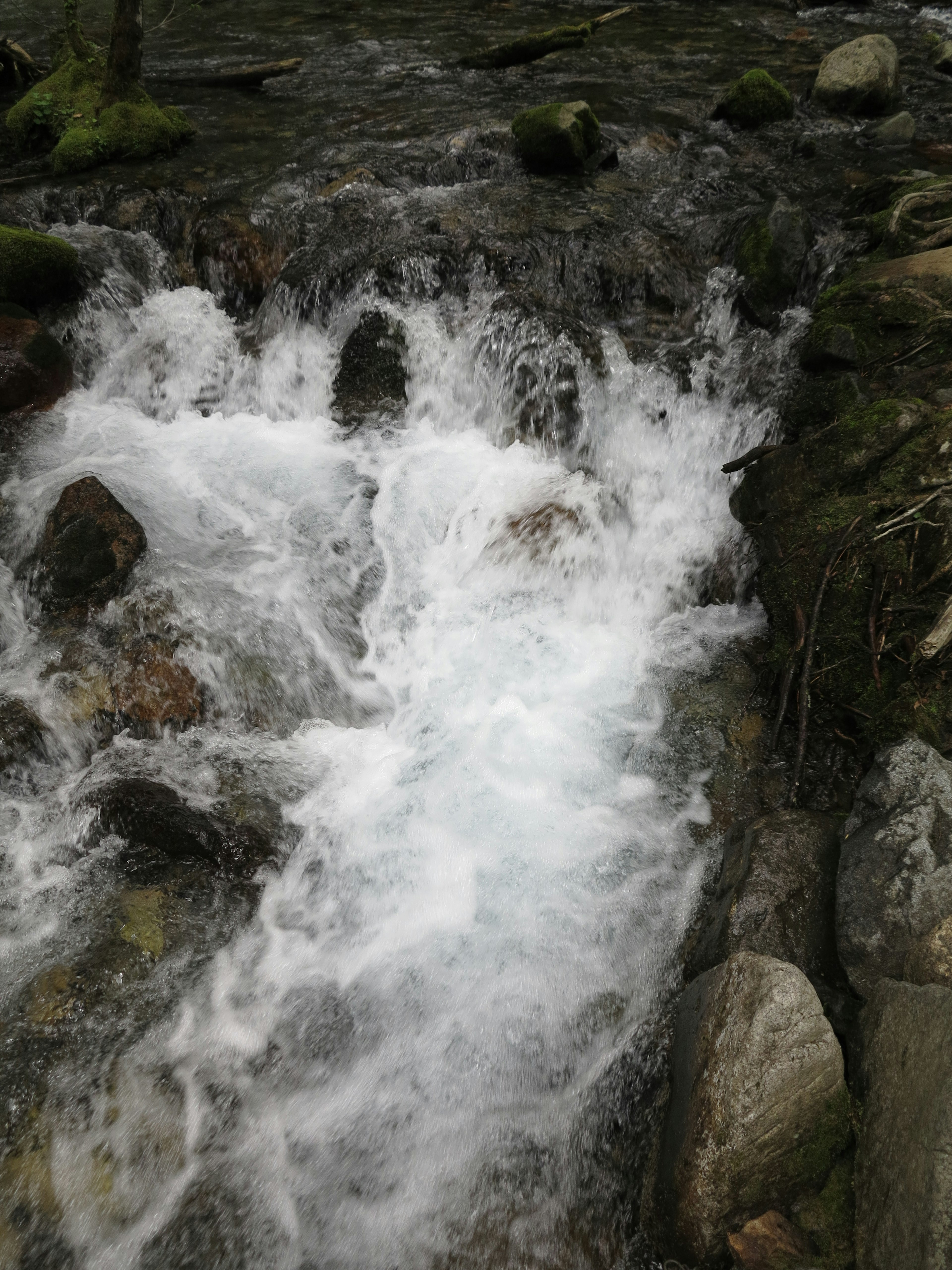 Gros plan sur de l'eau qui coule sur des rochers avec de la mousse