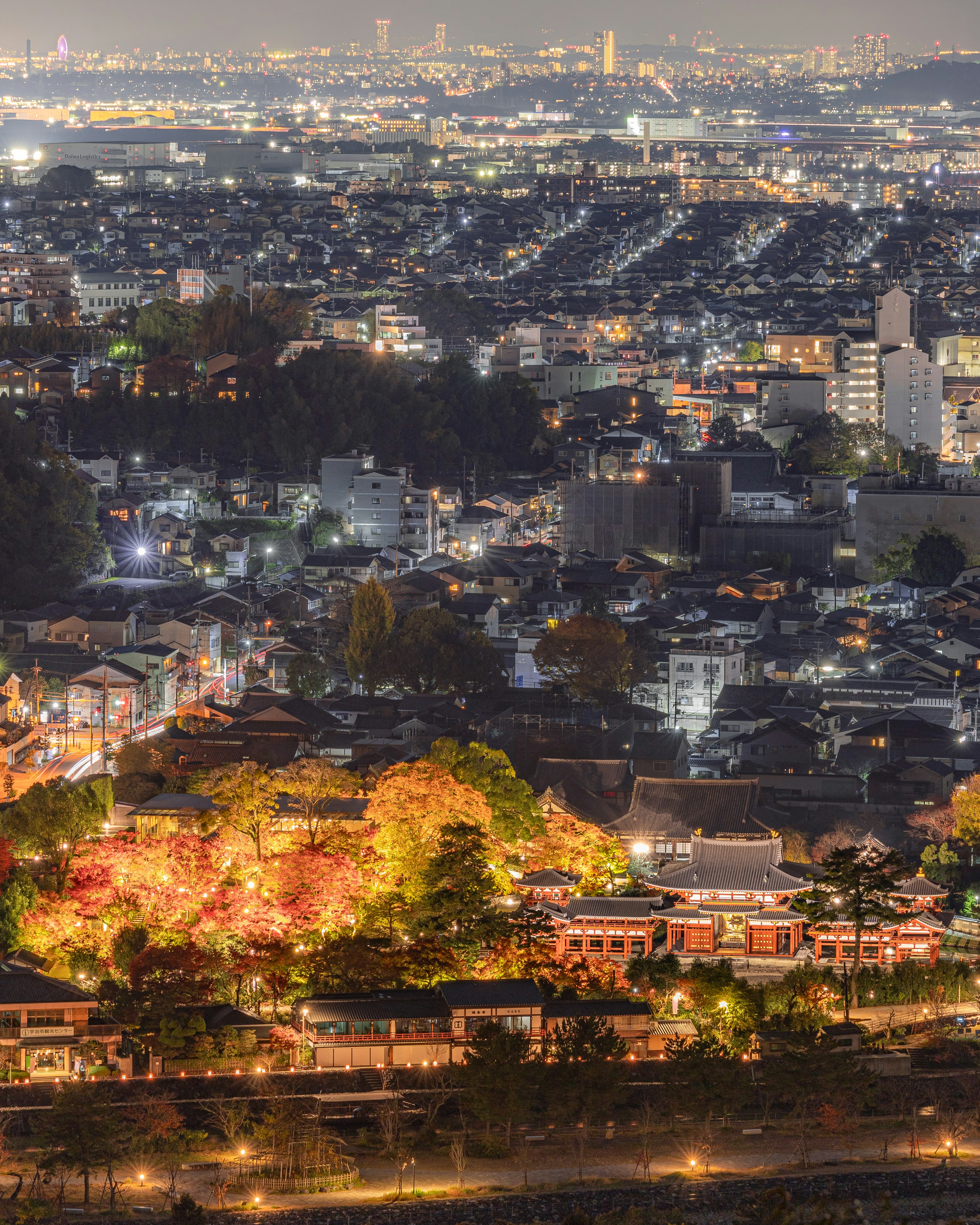 Panoramablick auf die Stadt Kyoto bei Nacht mit lebhaftem Herbstlaub