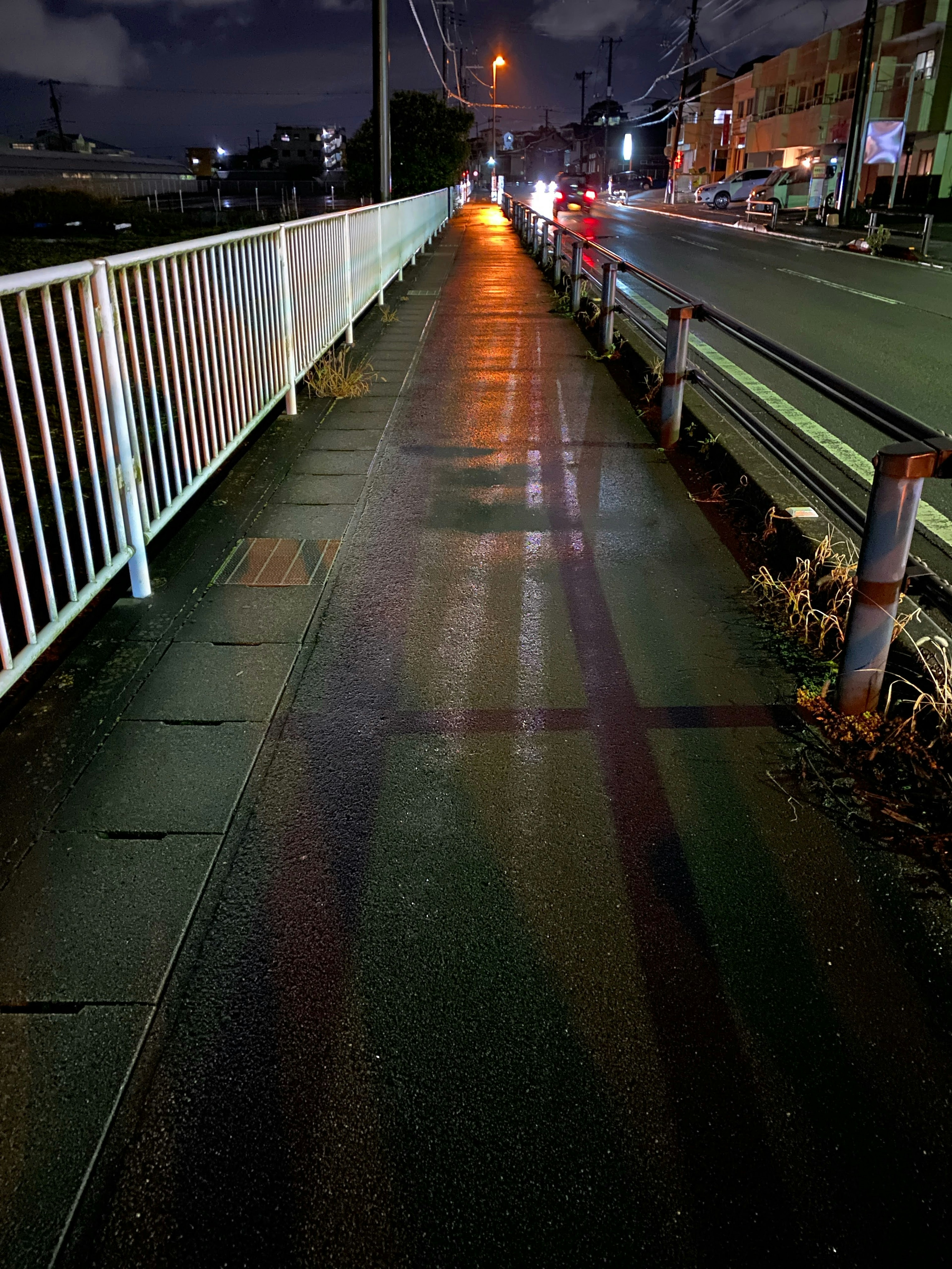 Nighttime view of a sidewalk with streetlights reflecting on the wet surface