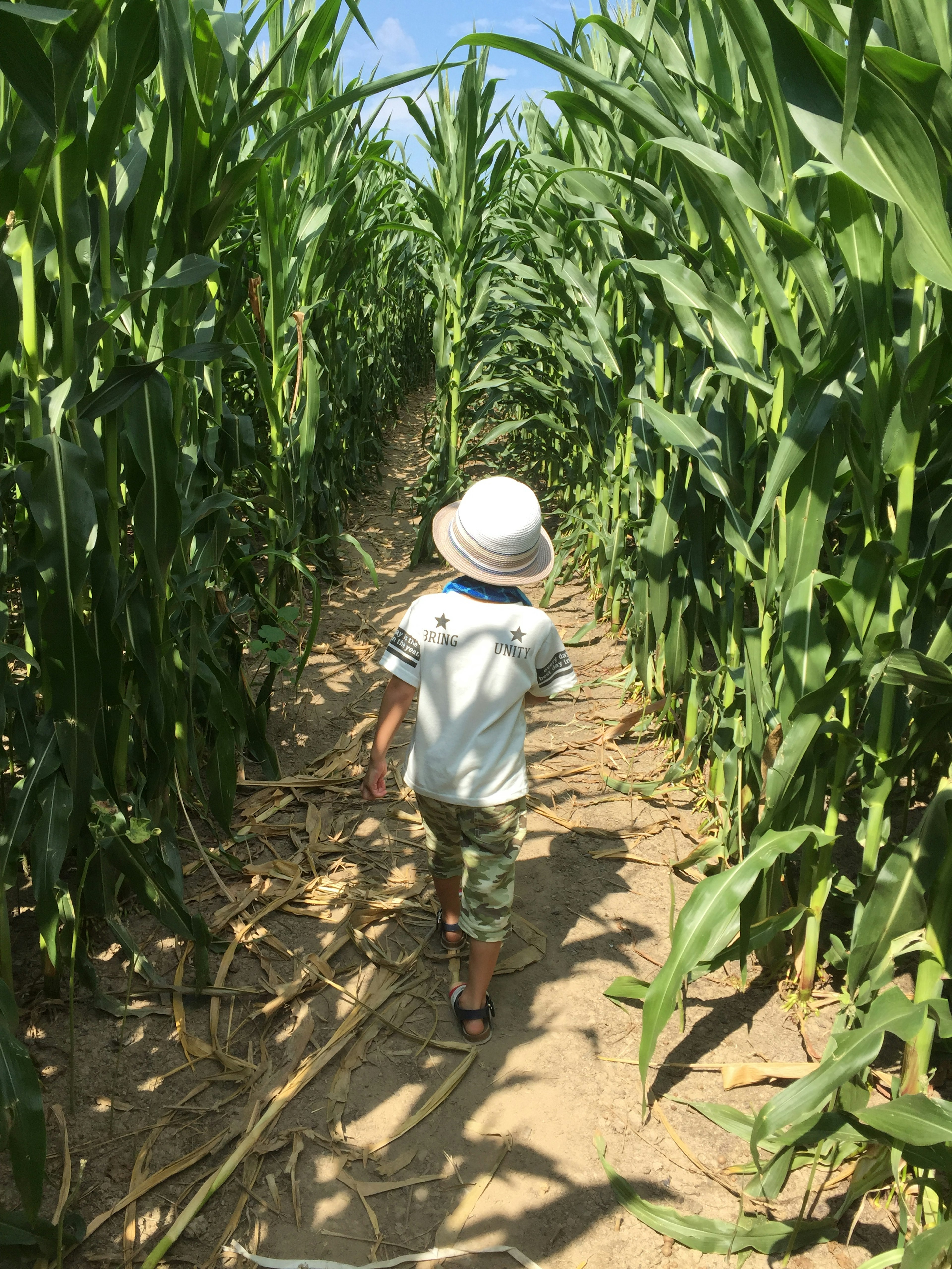 Anak berjalan di jalan jagung