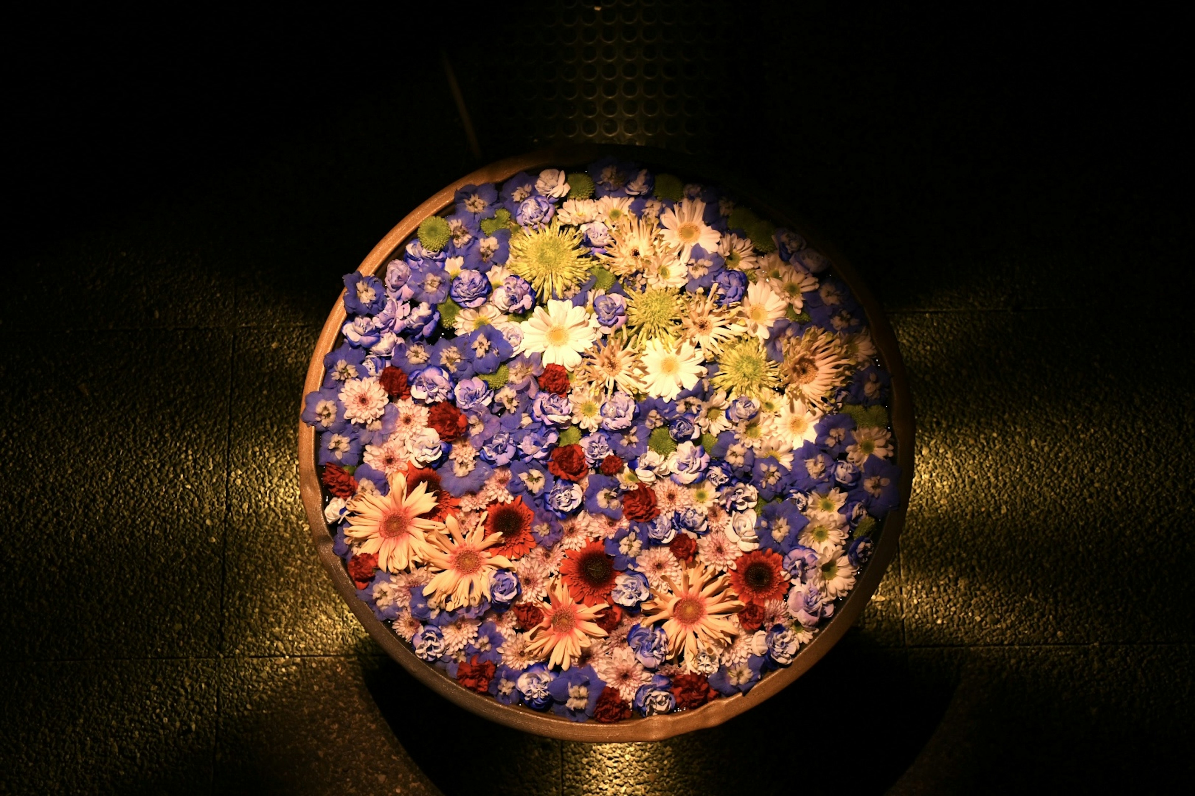 Hermosa escena de flores coloridas flotando en el agua iluminadas por la luz