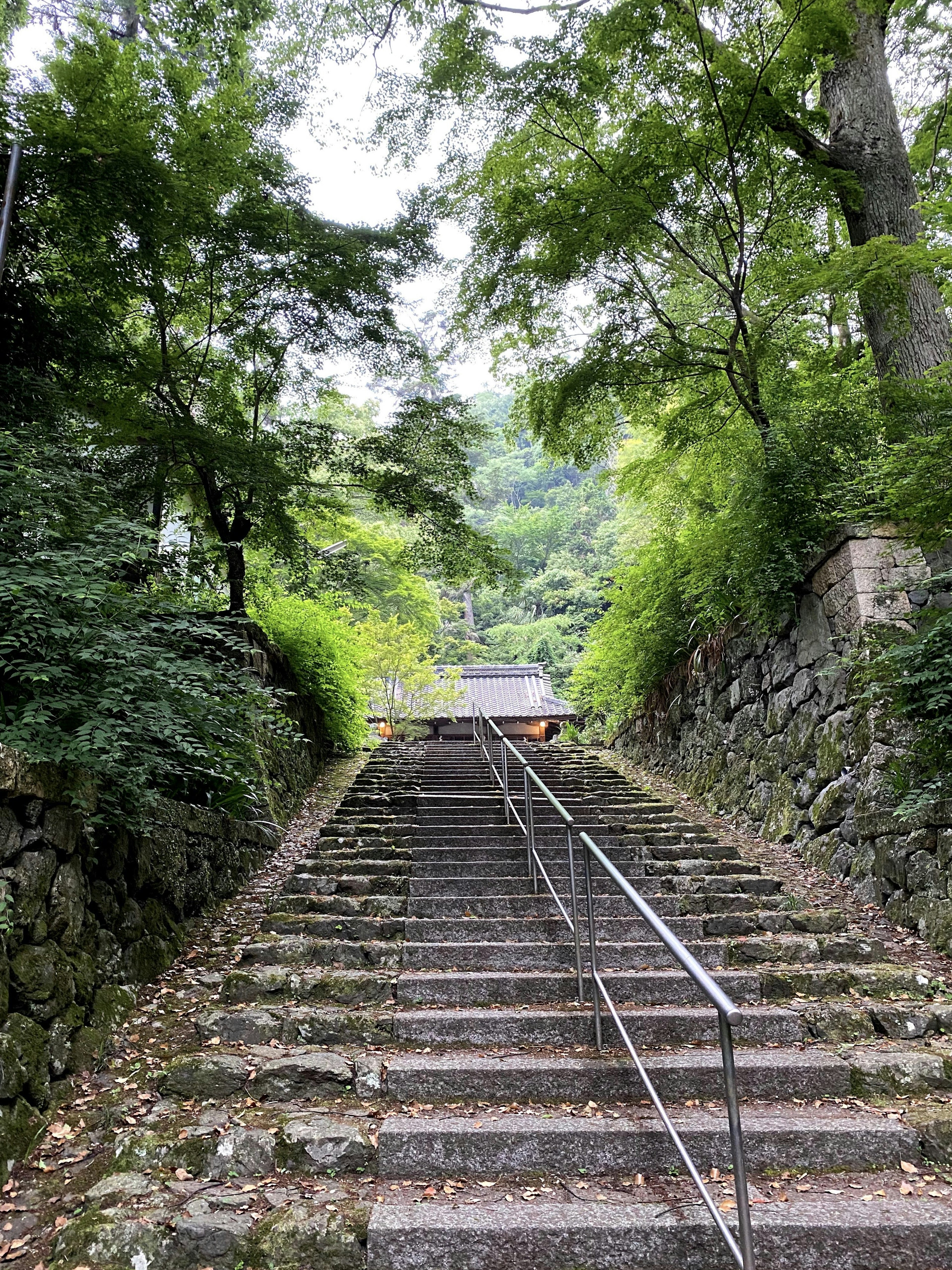 Lush green staircase leading to a small structure at the top