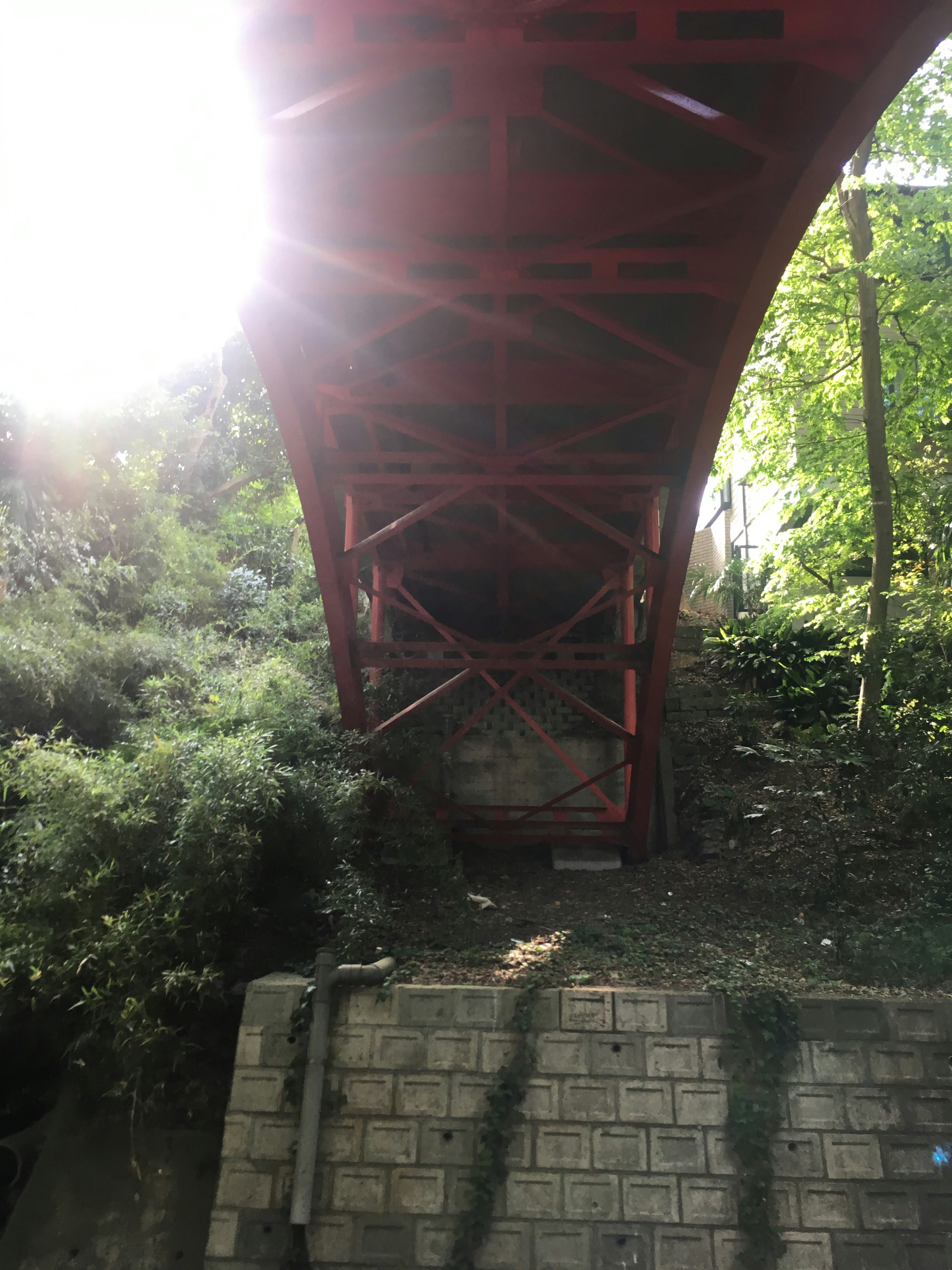 Jembatan merah melengkung di atas pemandangan hijau yang rimbun dengan sinar matahari menyaring melalui pepohonan