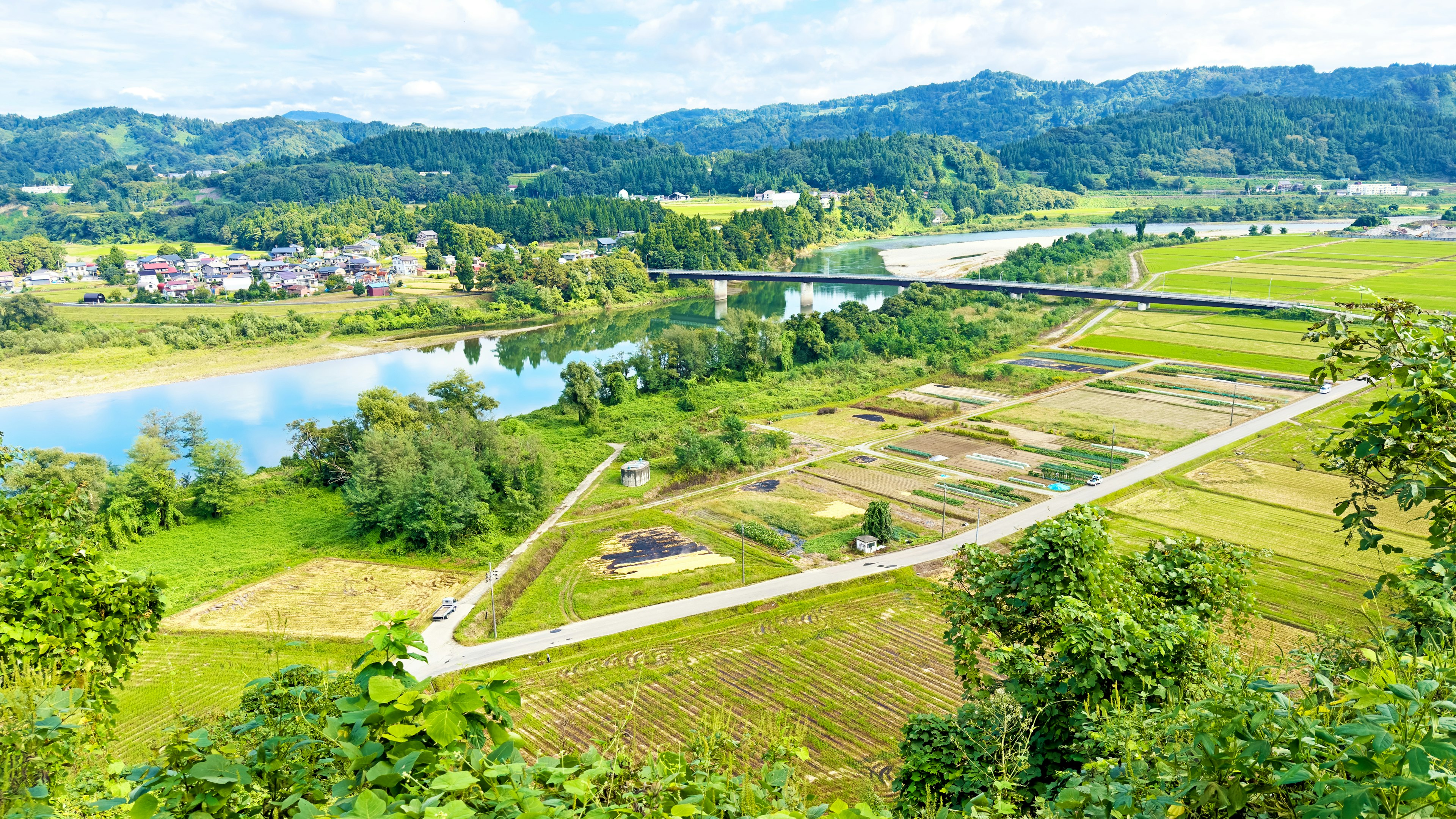 郁郁葱葱的田野和河流风景的全景