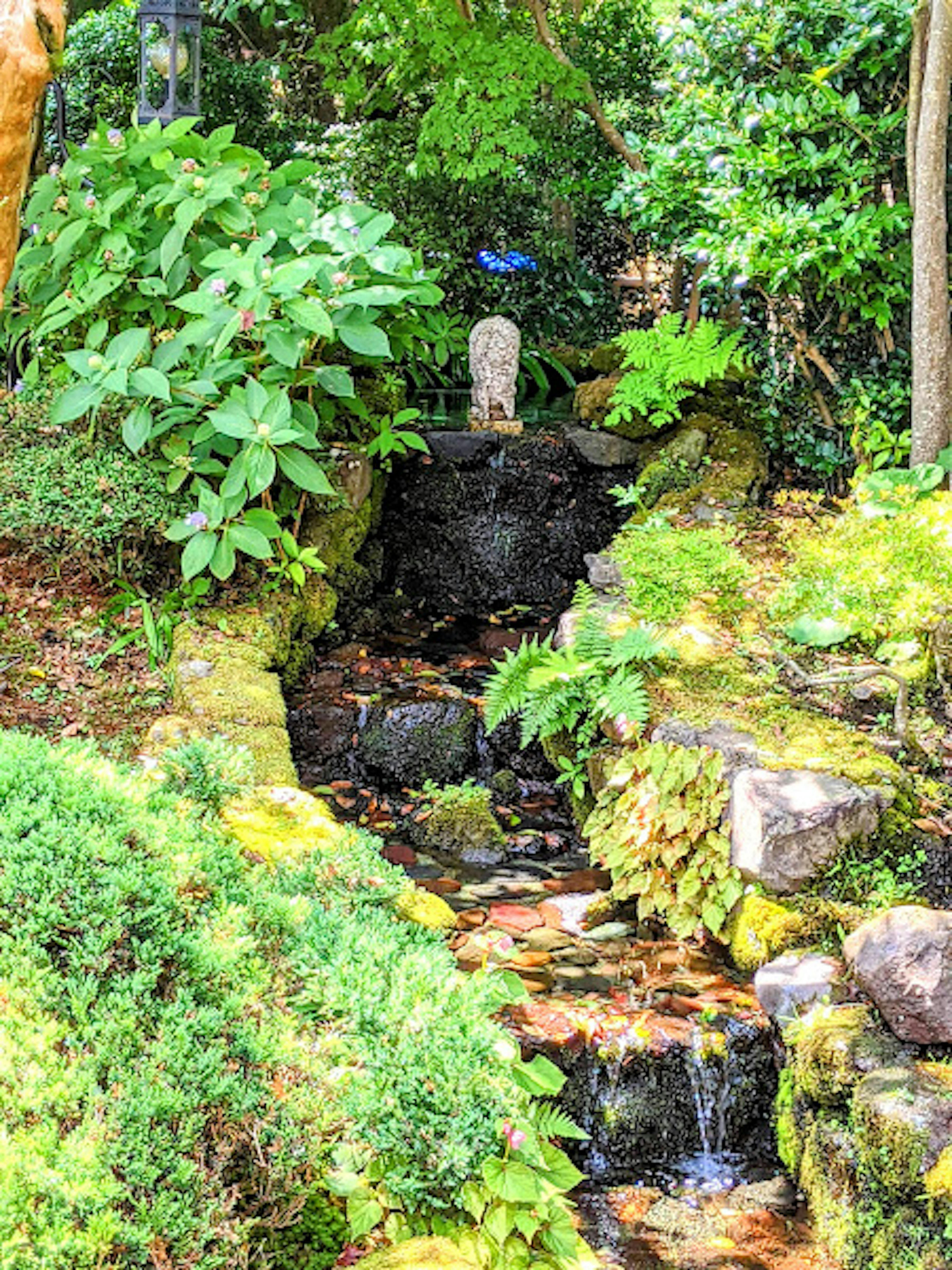 被郁郁葱葱的植物环绕的宁静花园场景，溪水流淌