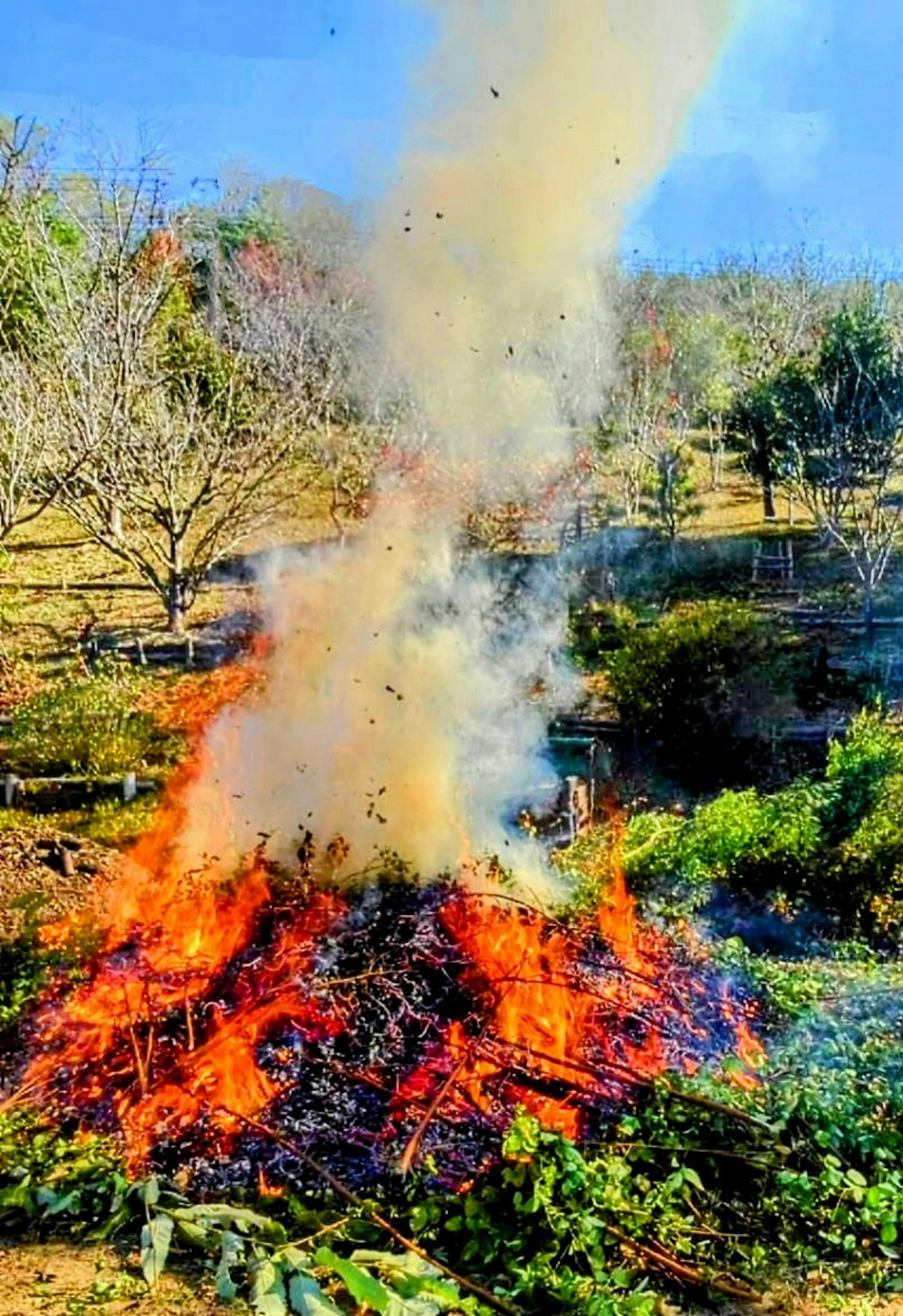 A large bonfire with thick smoke rising in a rural setting