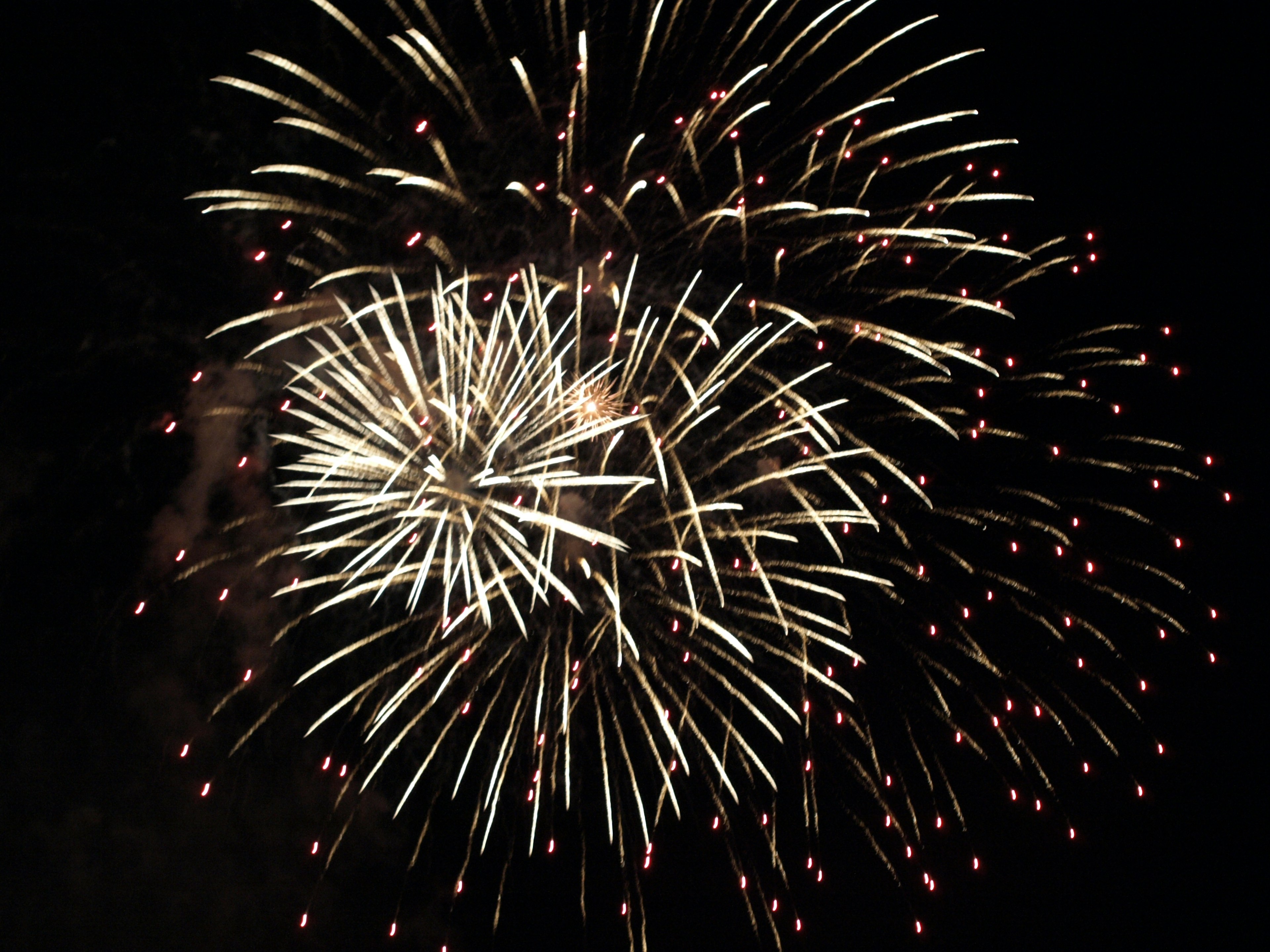 Una explosión de fuegos artificiales iluminando el cielo nocturno