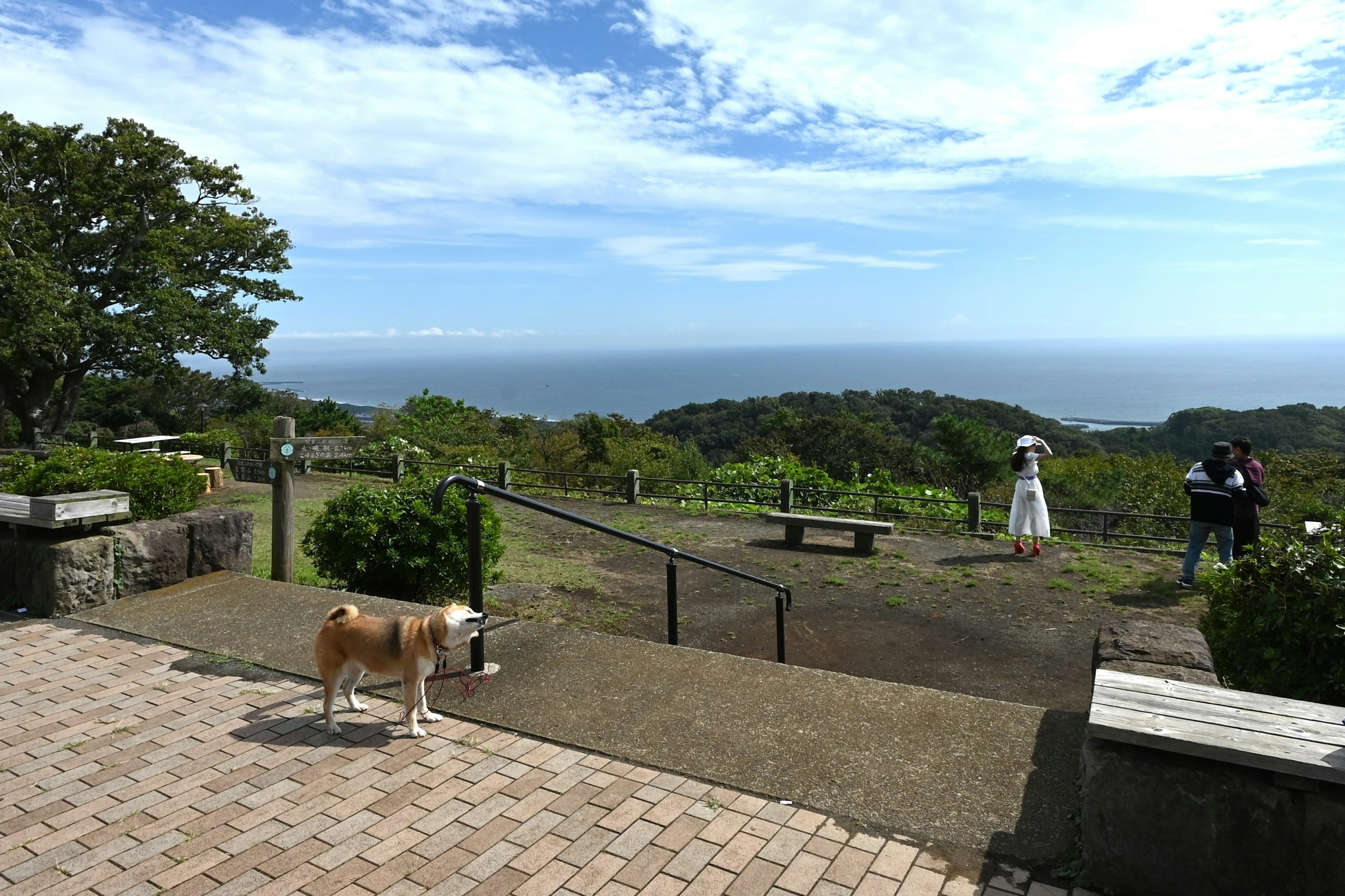 Vista panoramica sull'oceano con un cane e delle persone