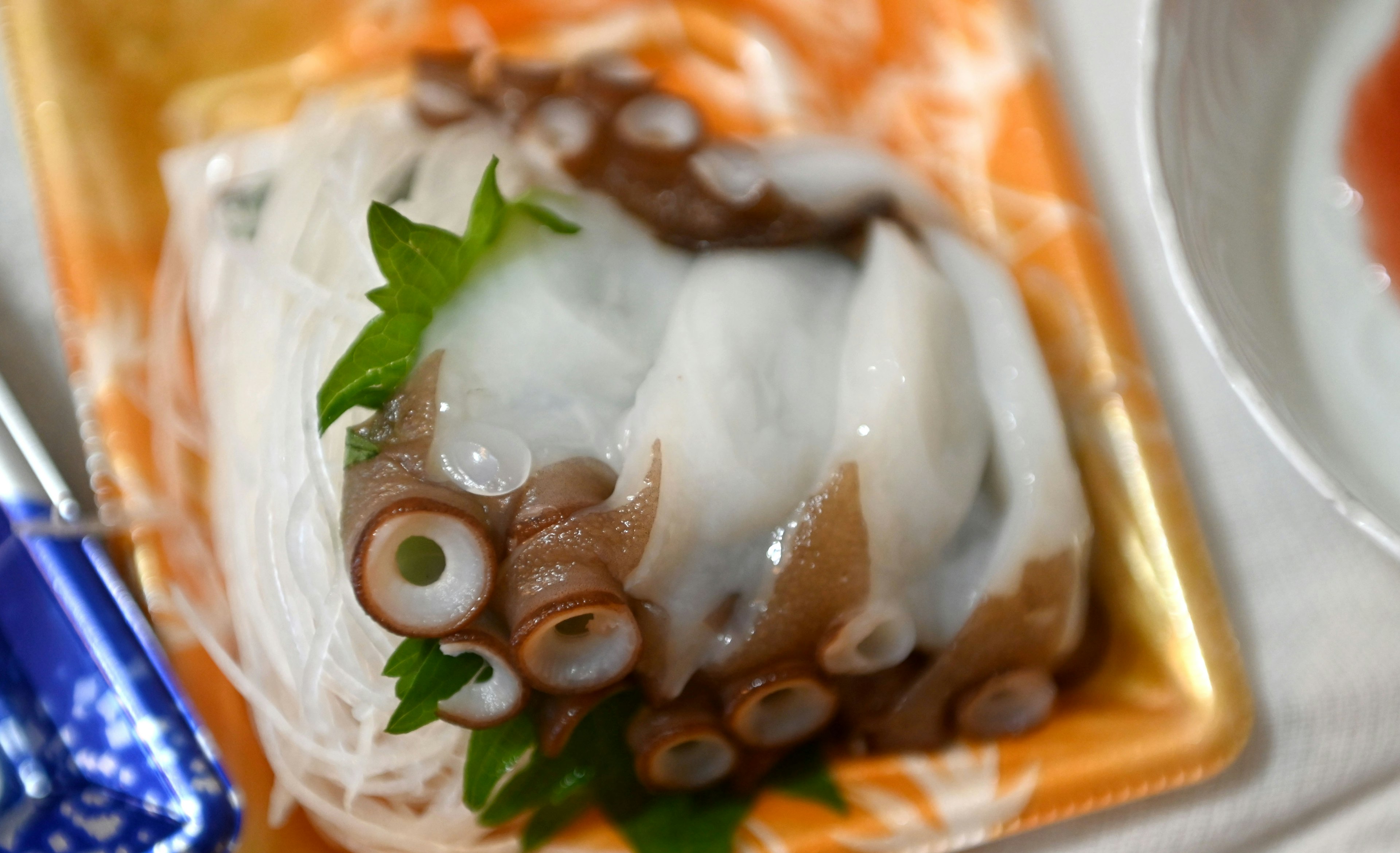 Fresh octopus sashimi presented on a plate