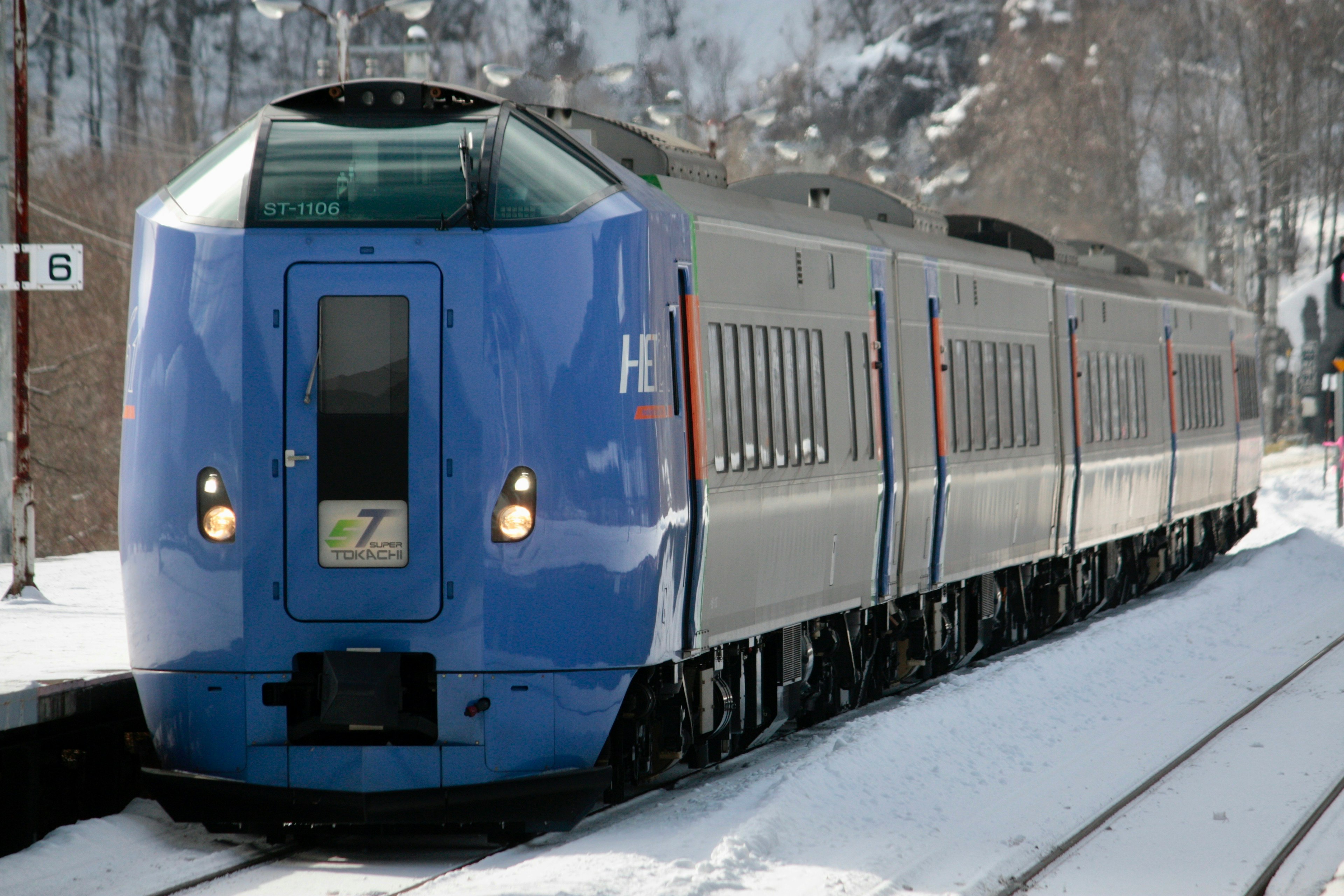 雪の中で停車している青い特急列車