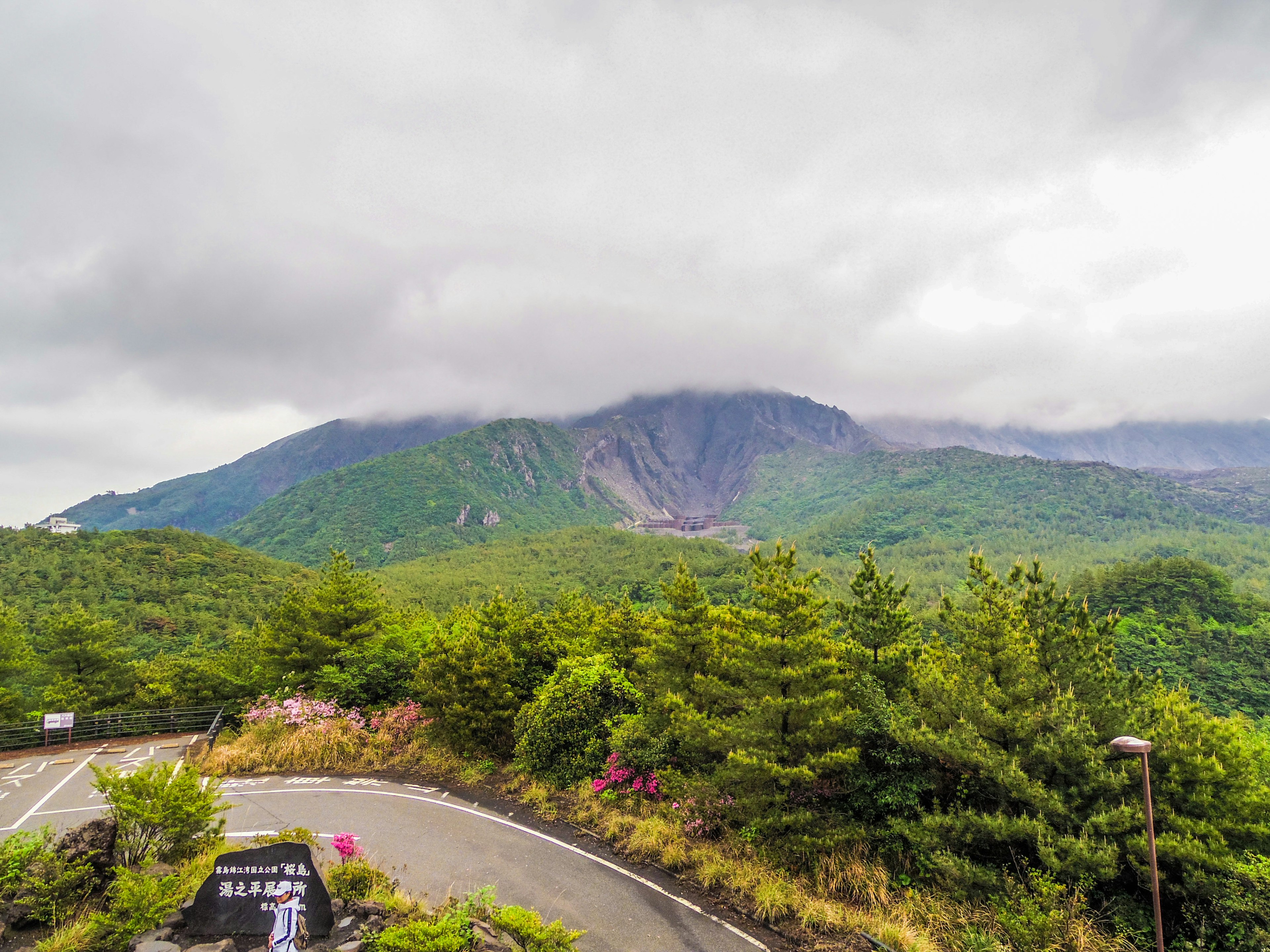 緑豊かな山々と曇り空が広がる風景