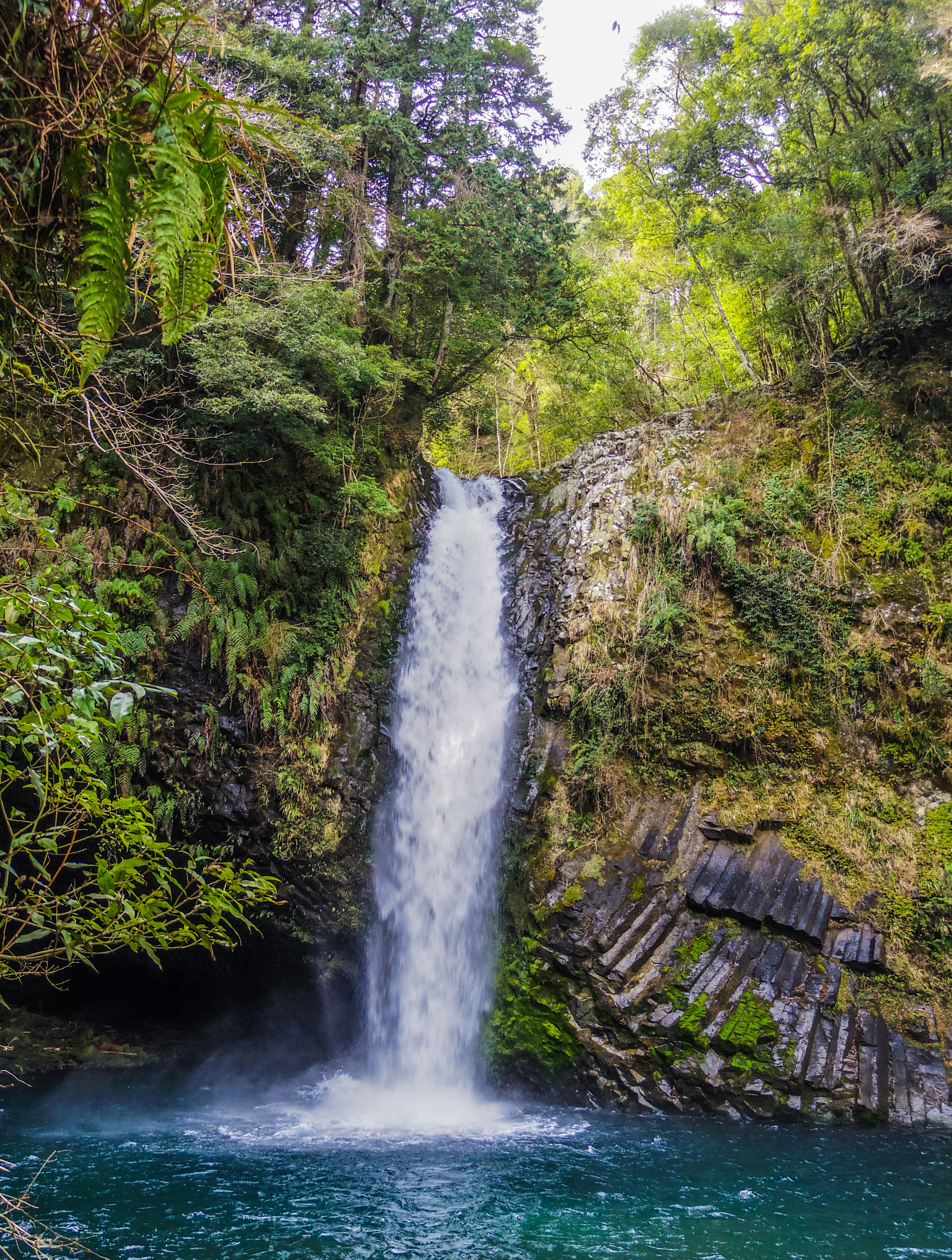 A beautiful scene of a waterfall cascading down surrounded by lush greenery