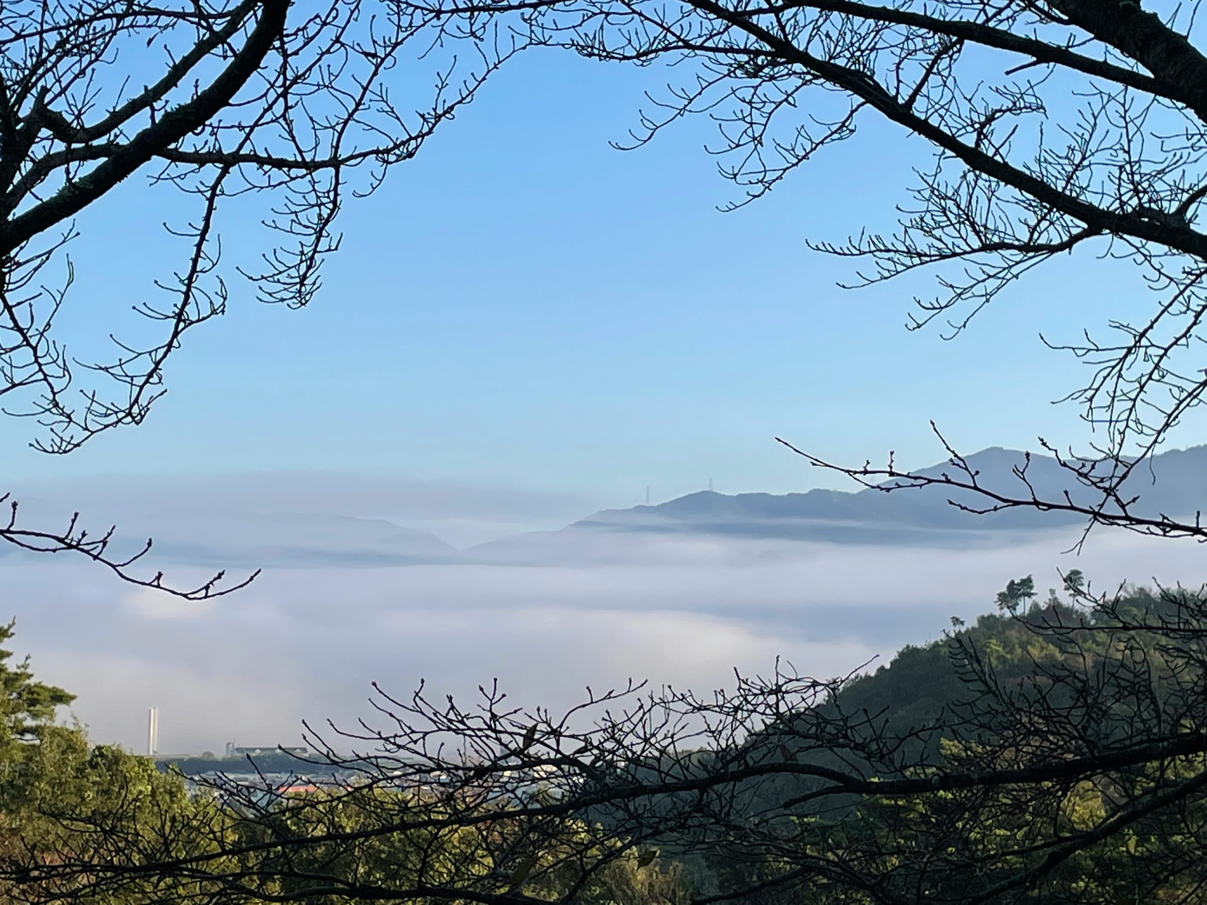 맑은 파란 하늘 아래 안개로 덮인 산과 나무 실루엣의 경치