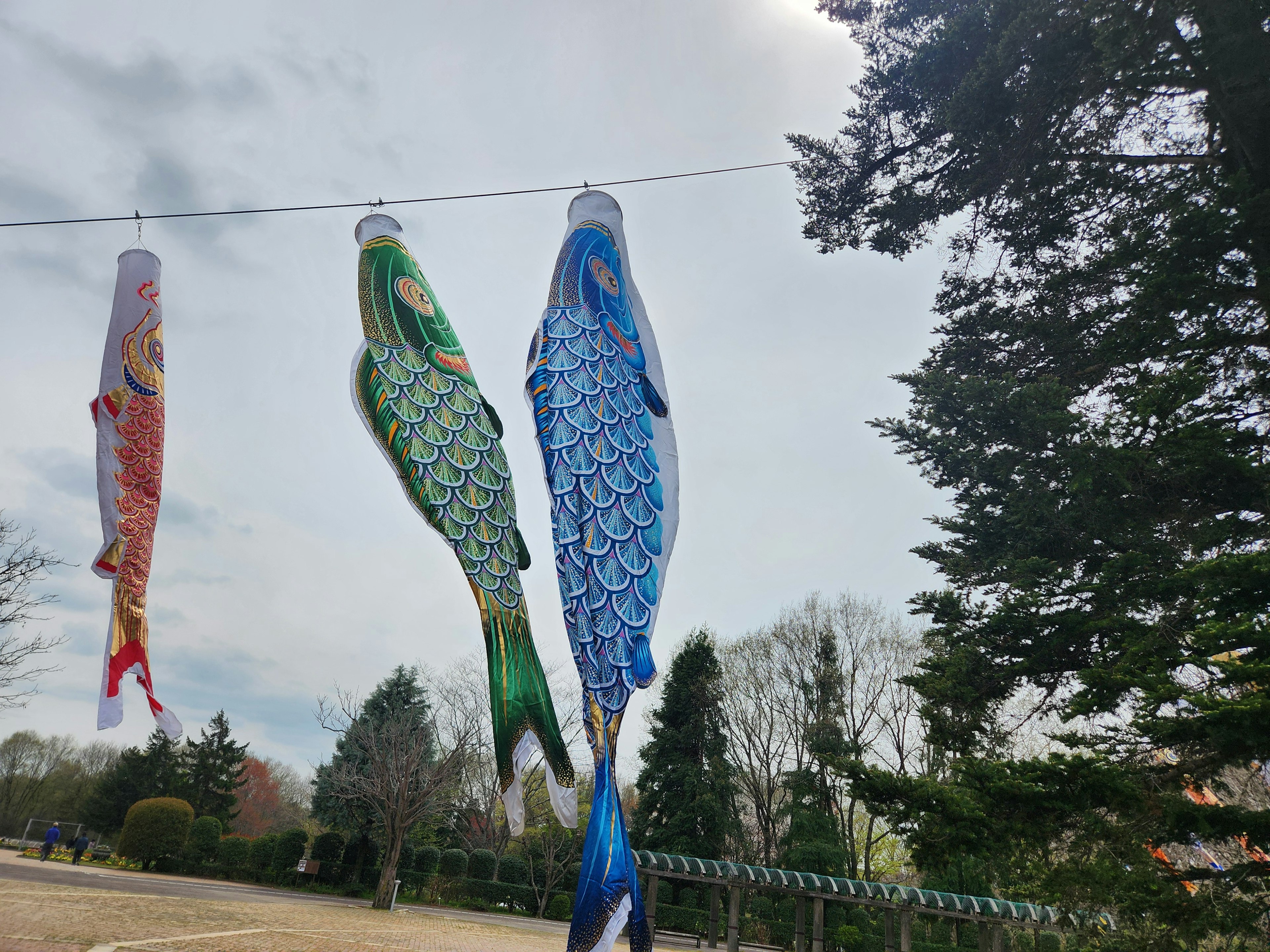 Drapeaux colorés de koi flottant dans le vent