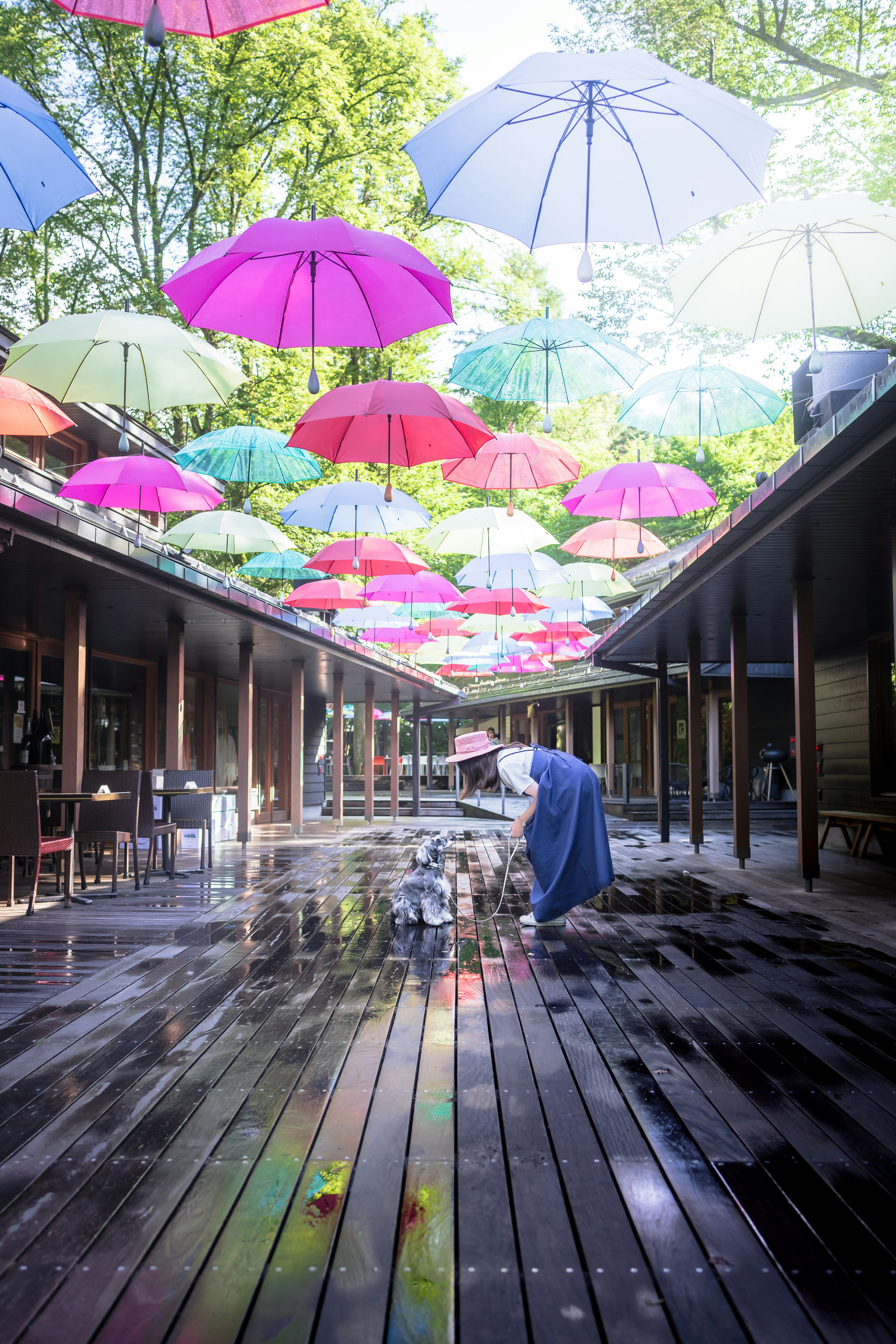 Bunte Regenschirme hängen in einem Außenbereich Reflexionen auf einem Holzboden