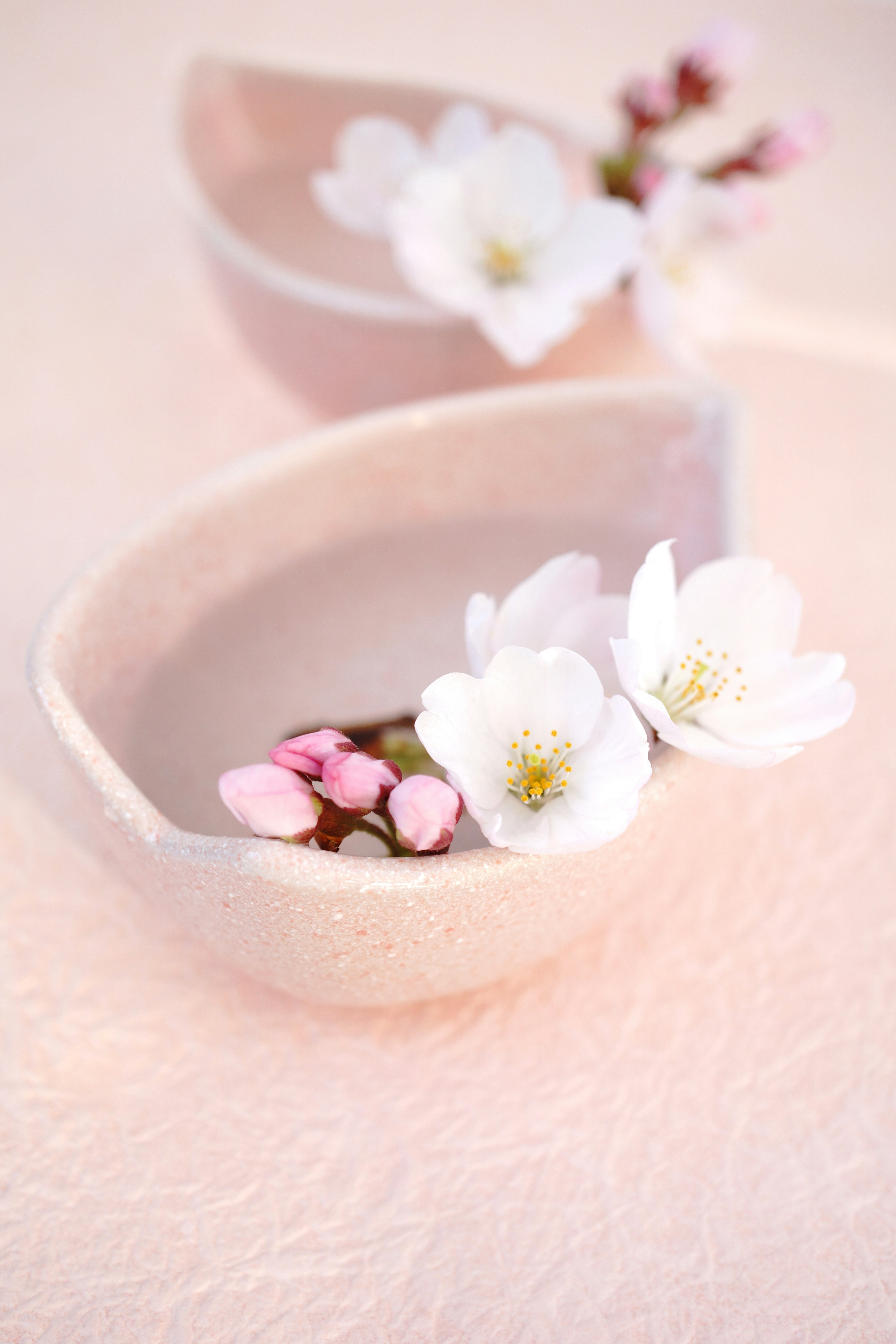 Elegante Anordnung von rosa Keramikschalen mit Kirschblüten