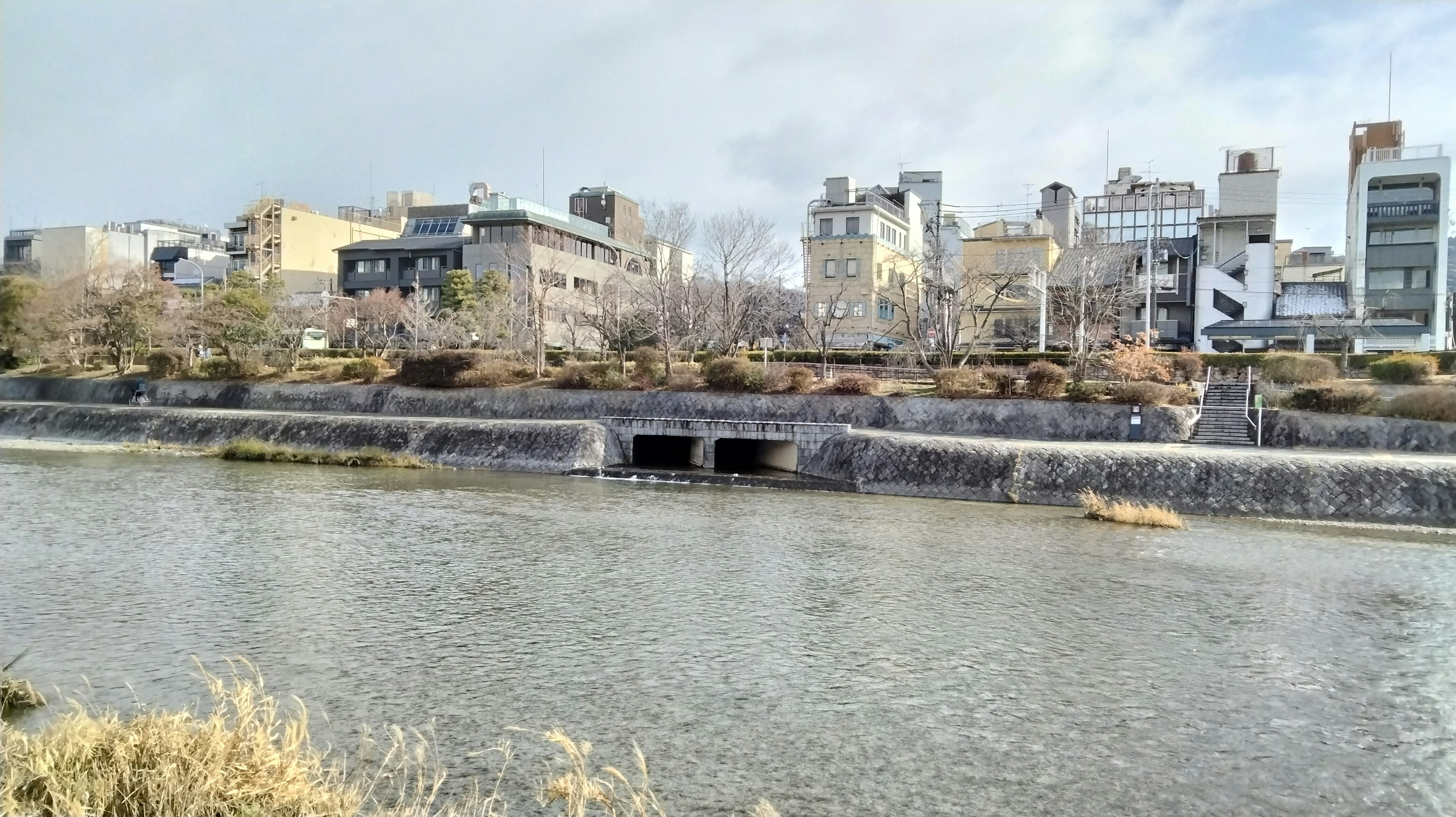 沿河岸的城市風景和建築物