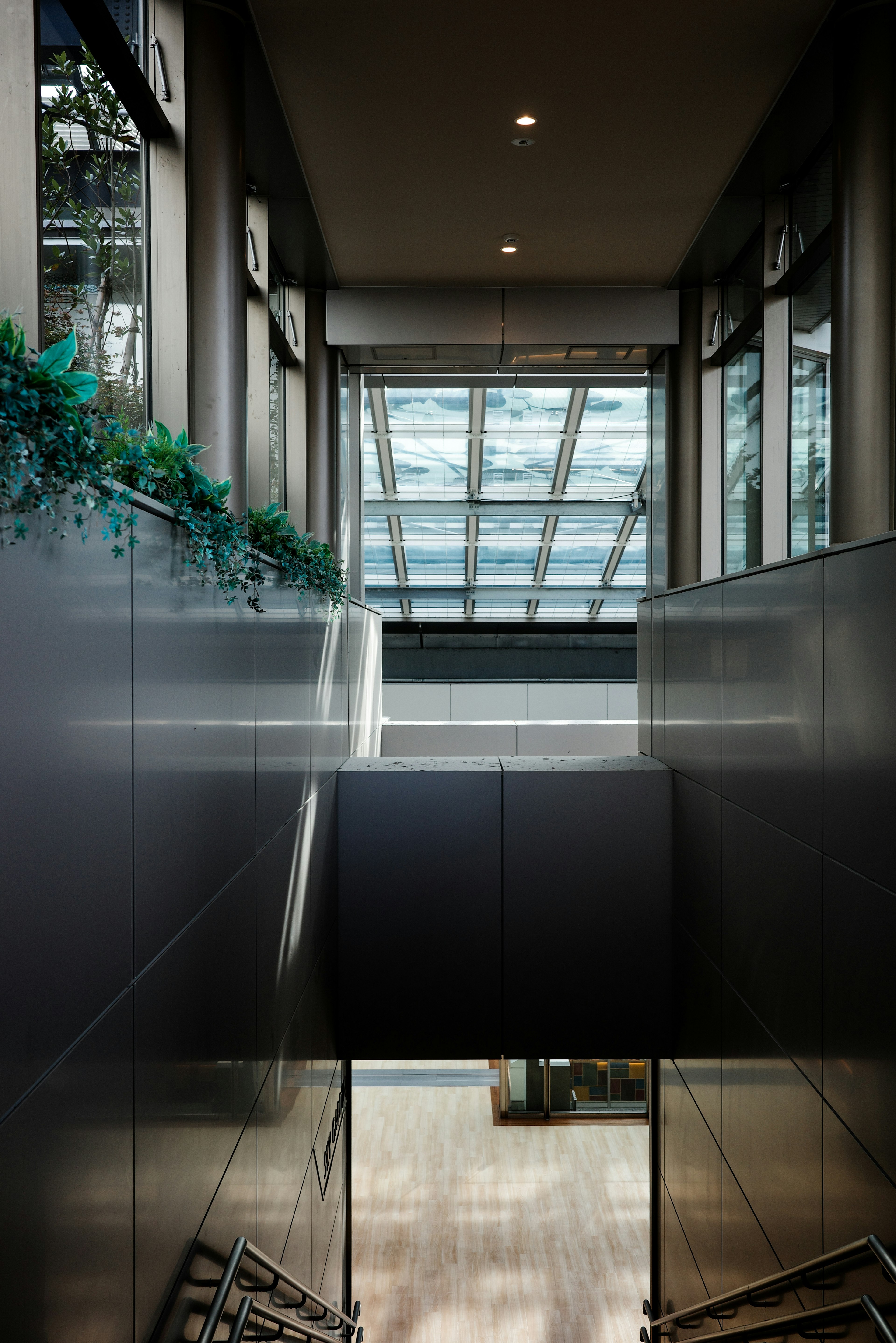 Modern interior hallway with bright natural light through skylights green plants as accents