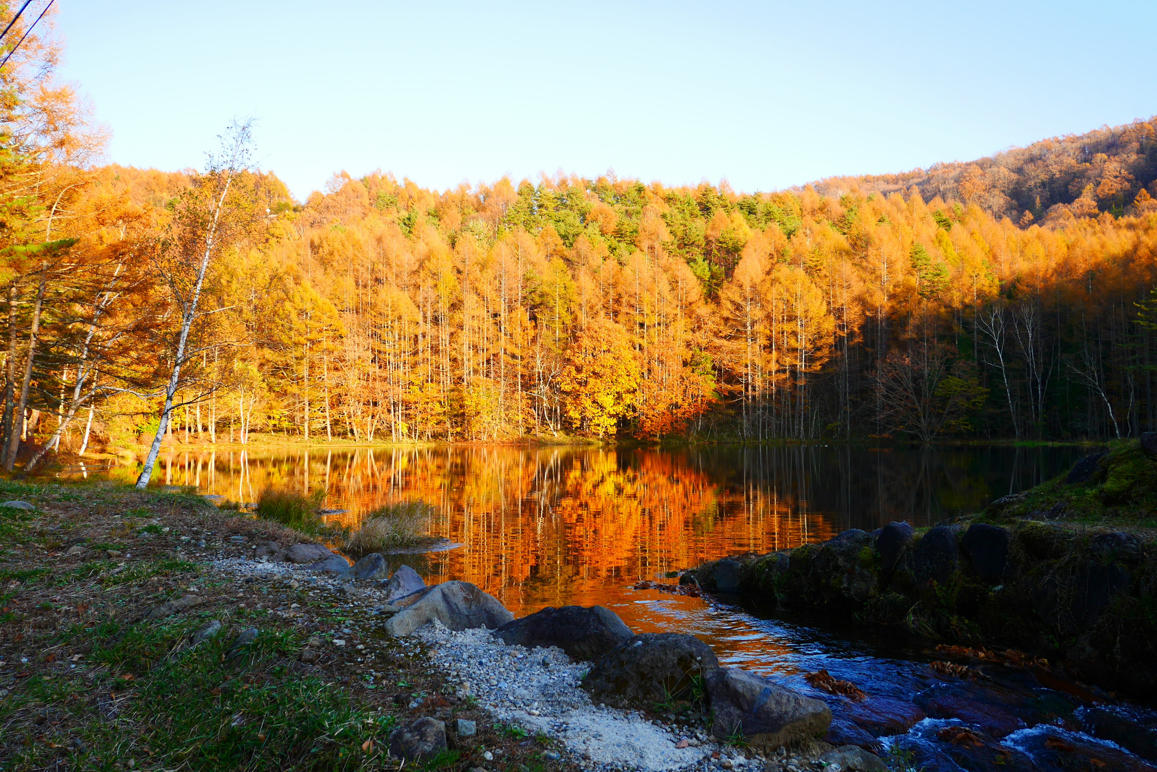 Autumn landscape featuring a lake and colorful trees